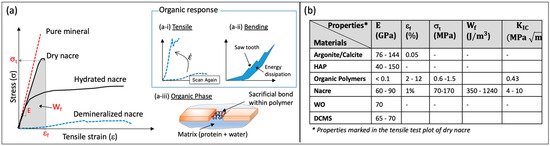 Biomimetics 08 00500 g002