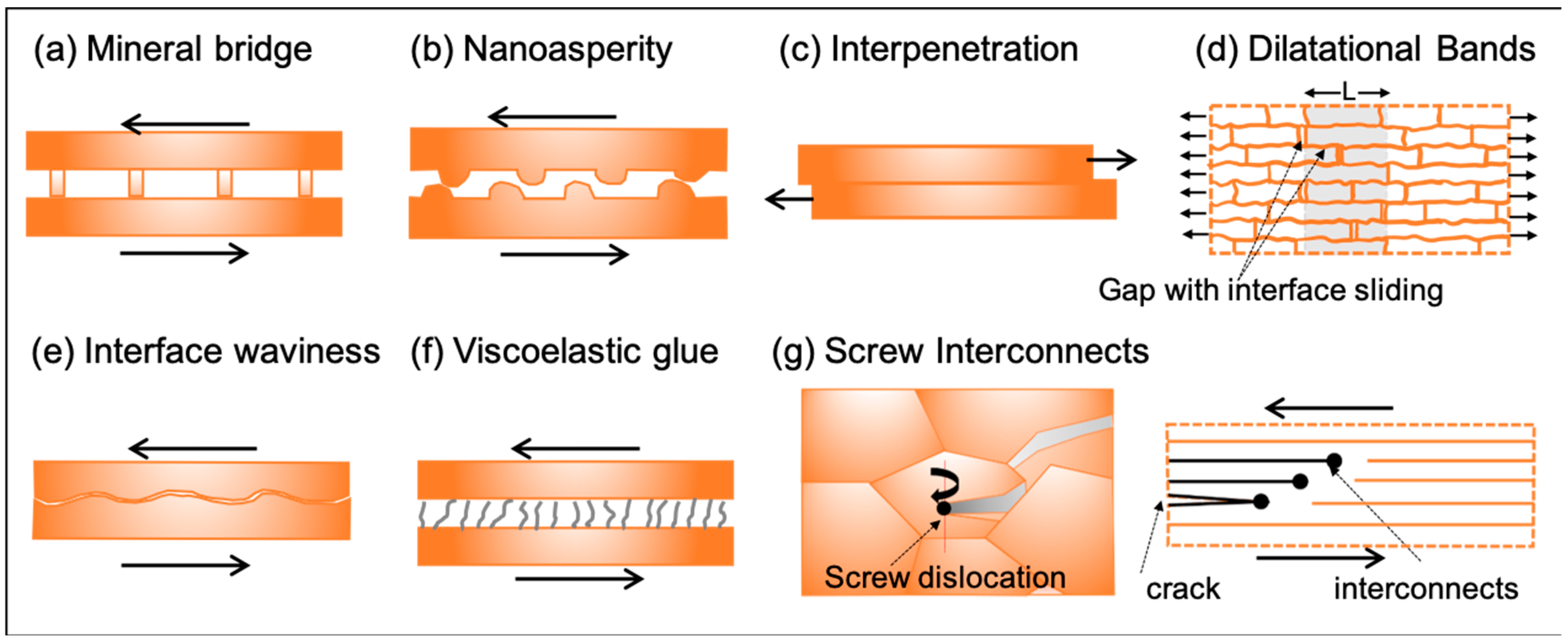 Biomimetics 08 00500 g003