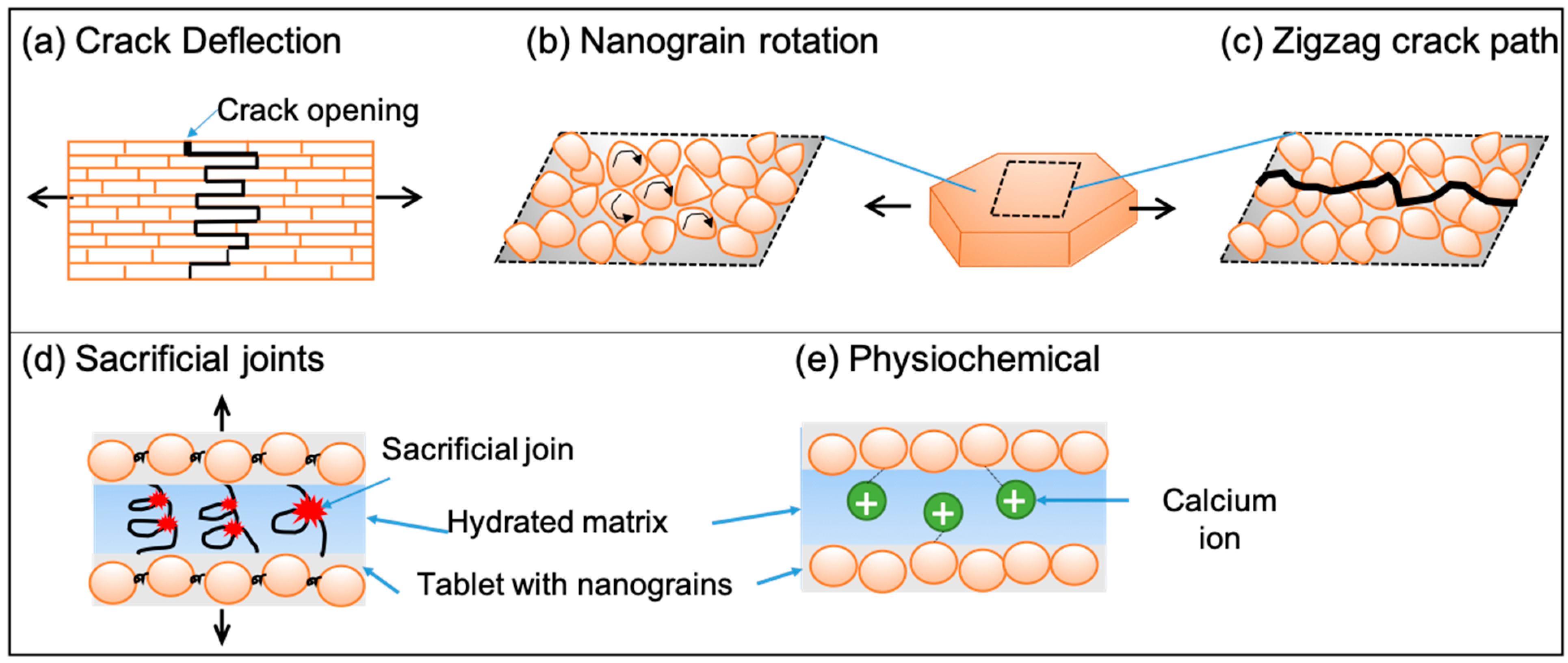 Biomimetics 08 00500 g004