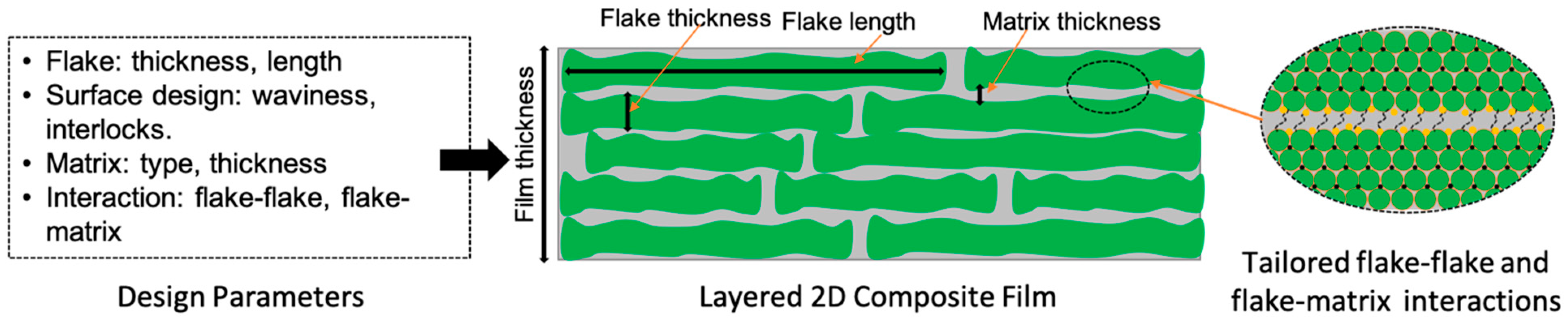 Biomimetics 08 00500 g005