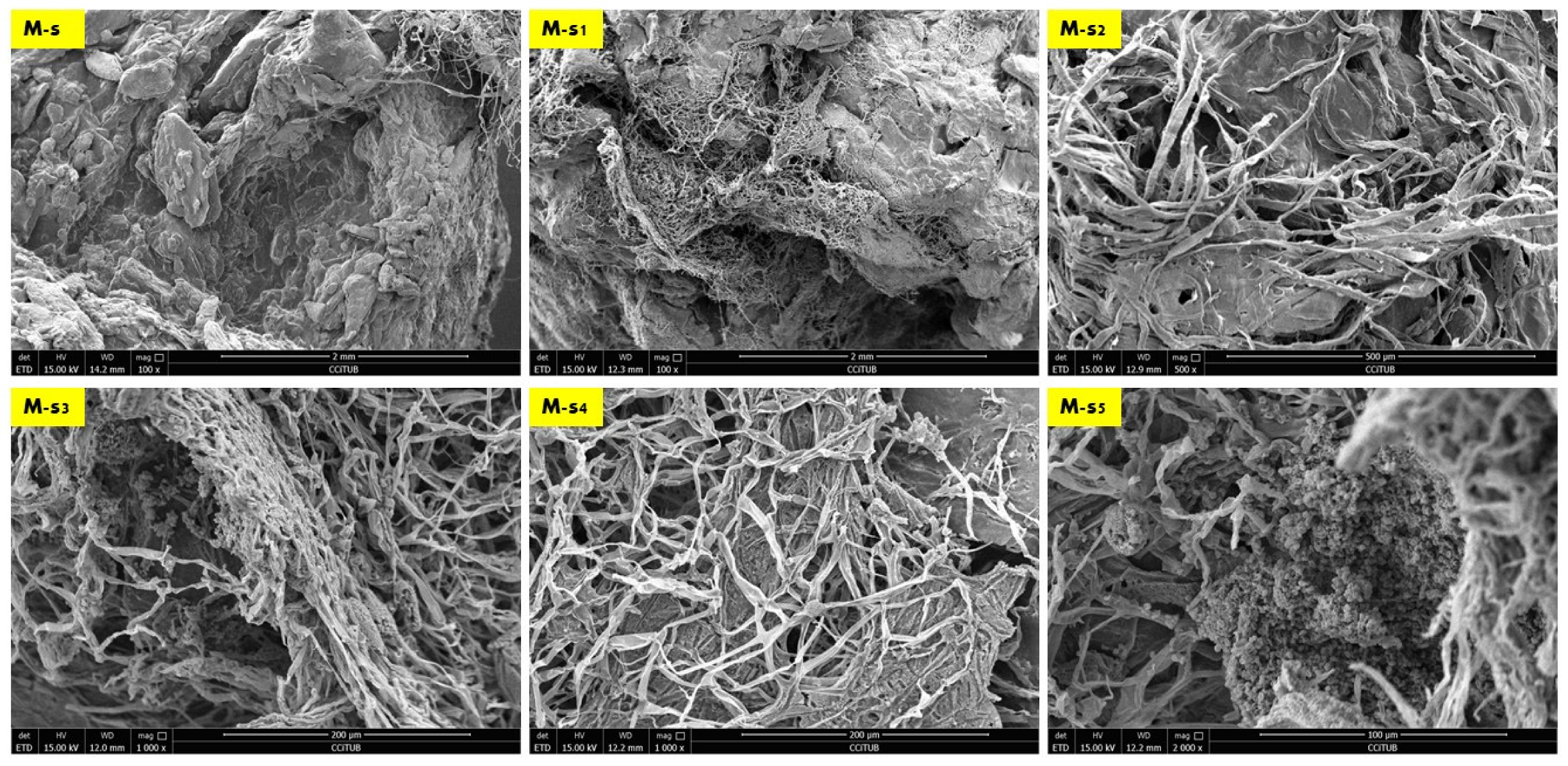 Biomimetics 08 00504 g005 Biomimetics 08 00504 g005