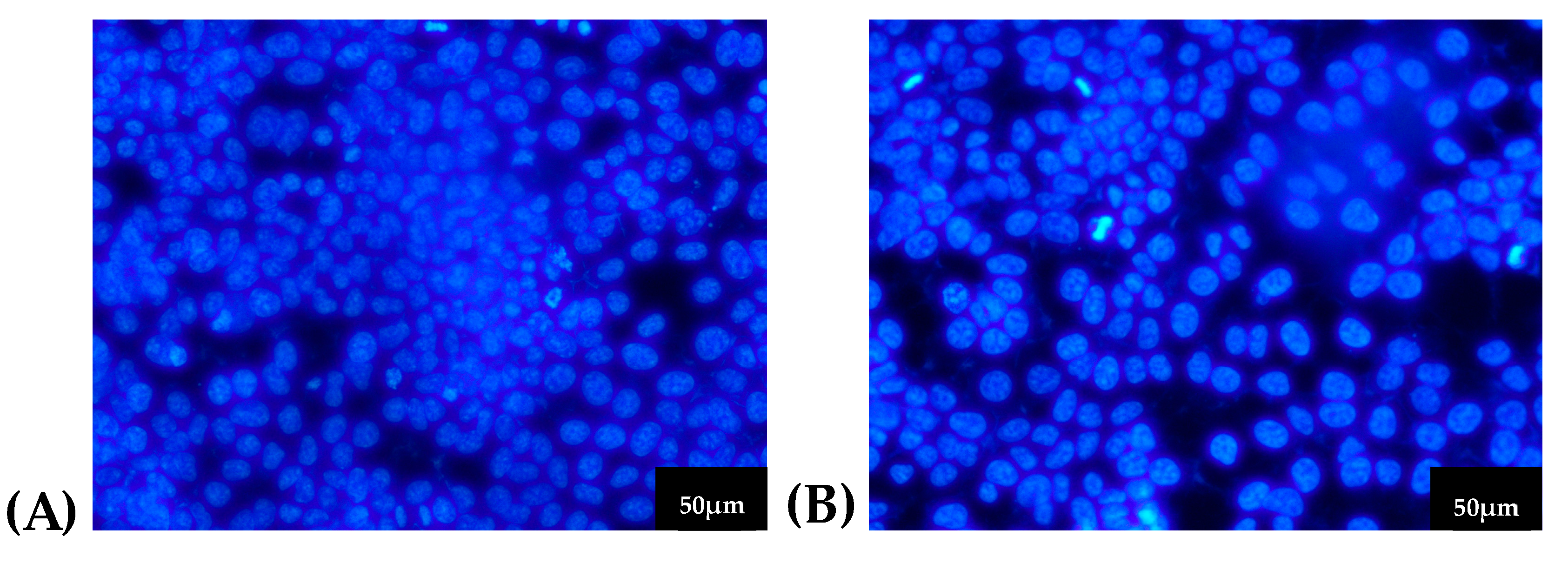 Biomimetics 08 00518 g010