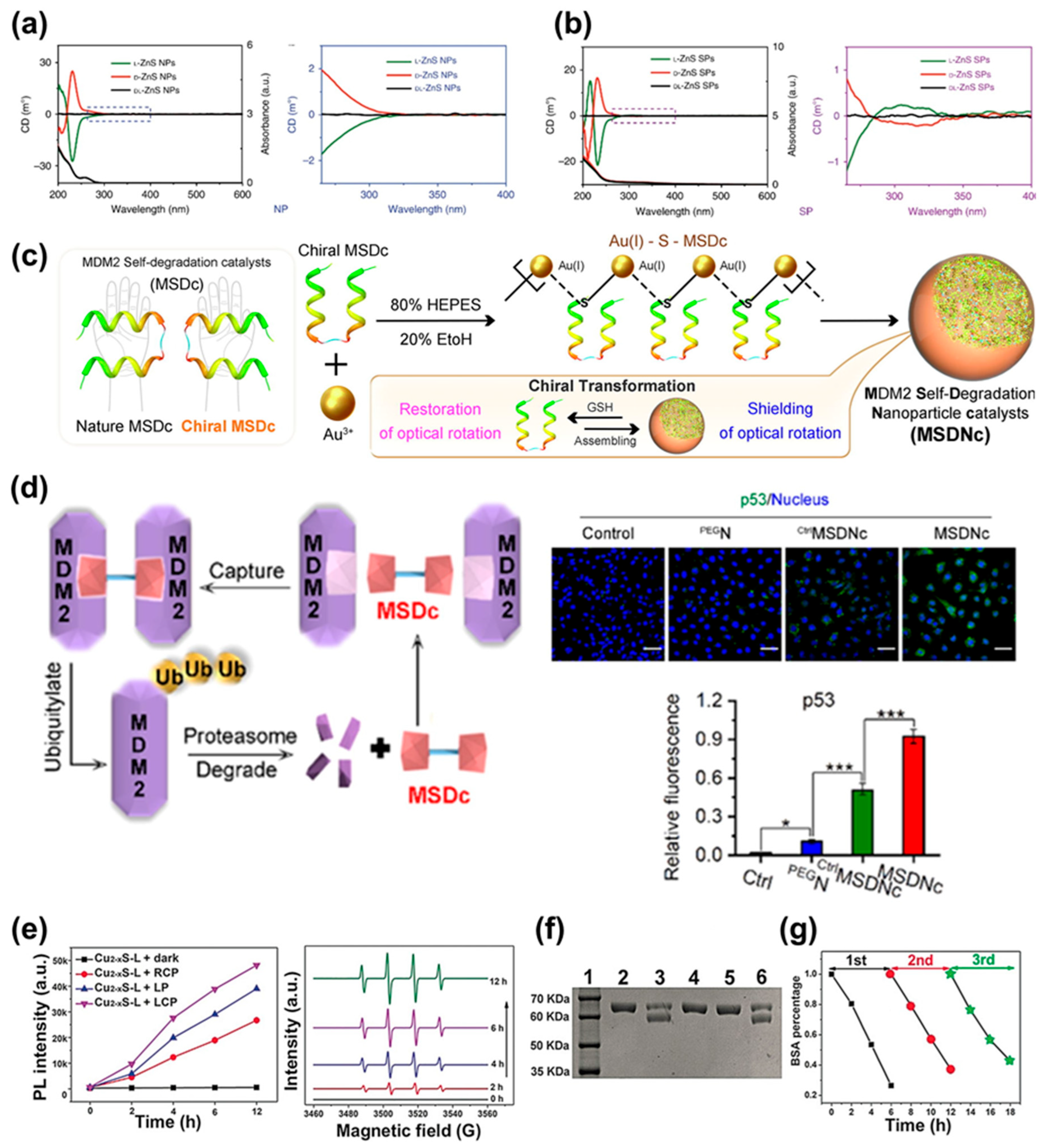 Biomimetics 08 00527 g007