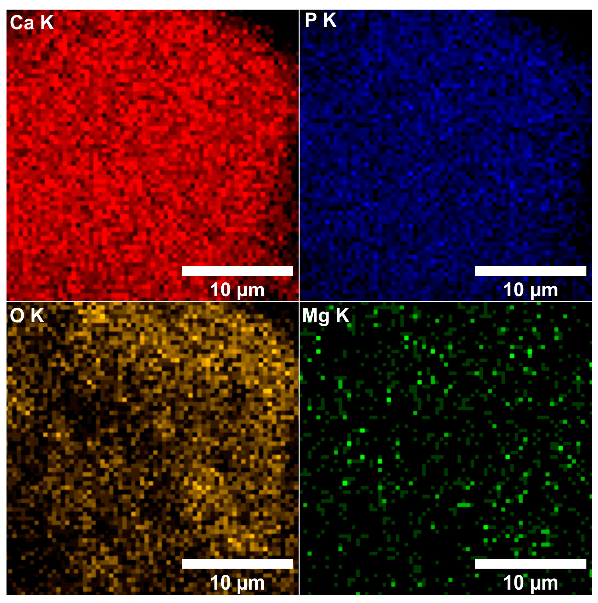 Biomimetics 08 00528 g008