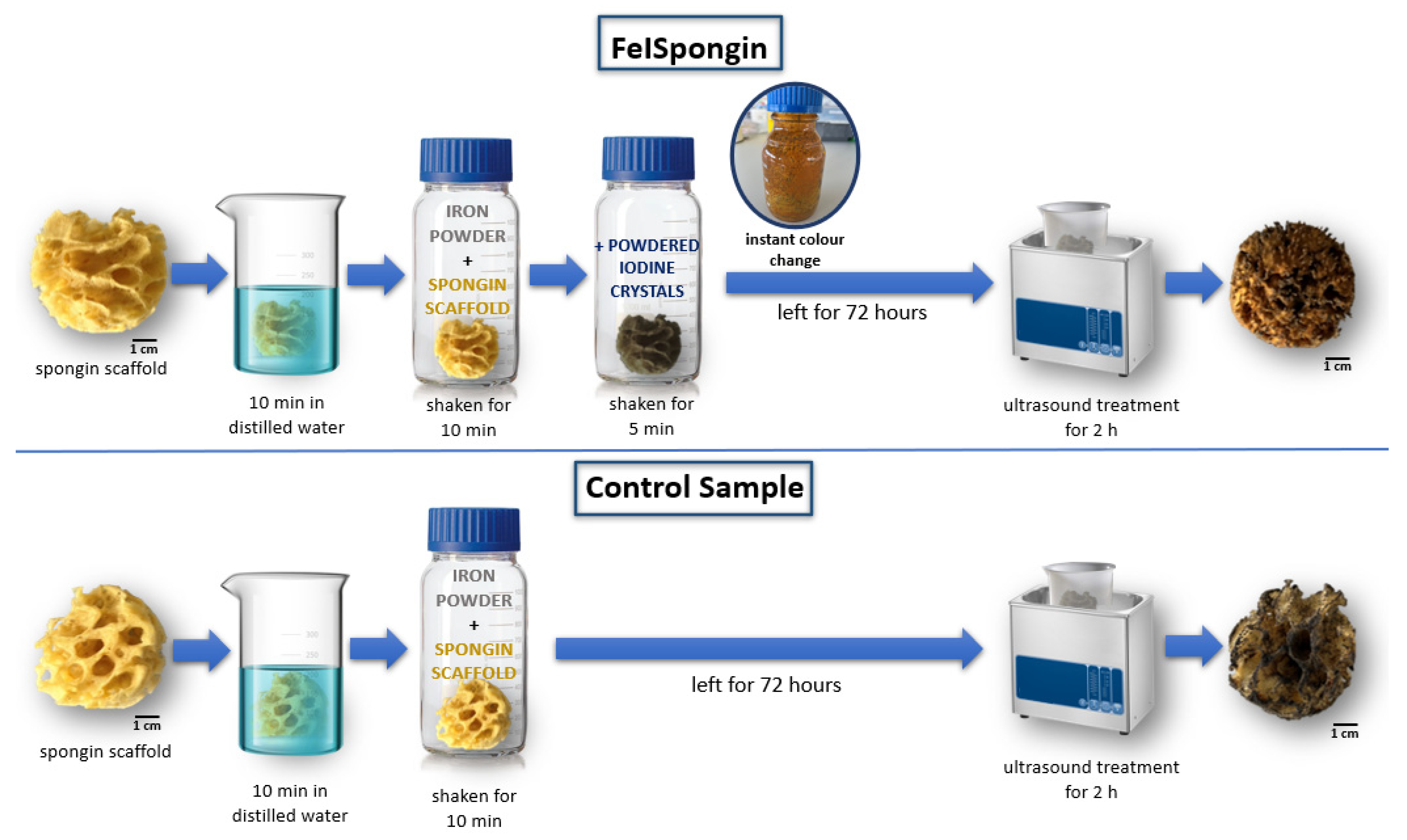 Biomimetics 08 00533 g002