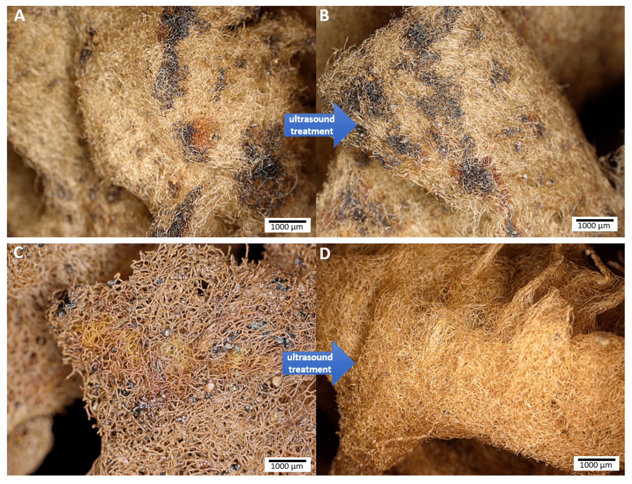 Biomimetics 08 00533 g003