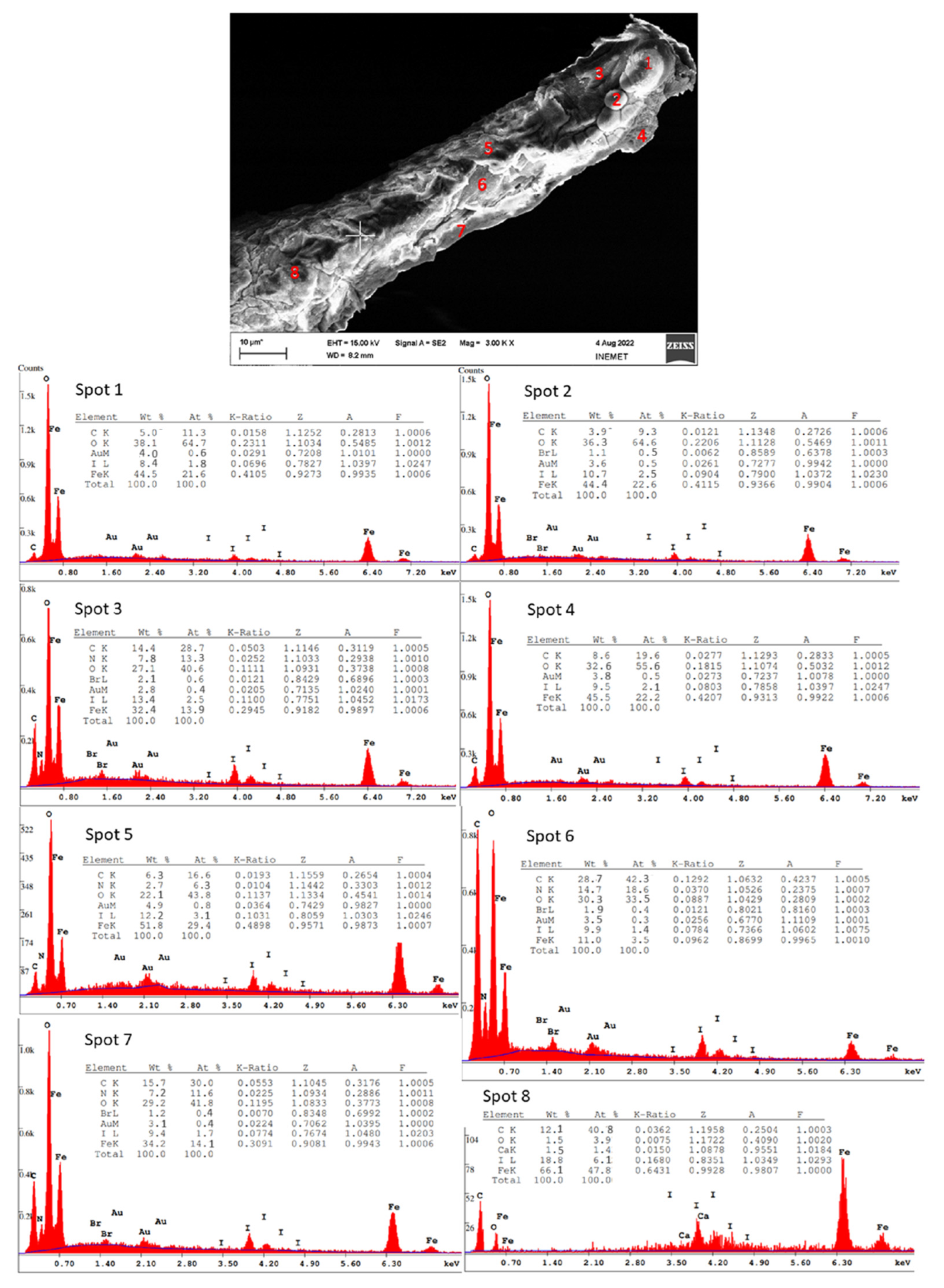 Biomimetics 08 00533 g006