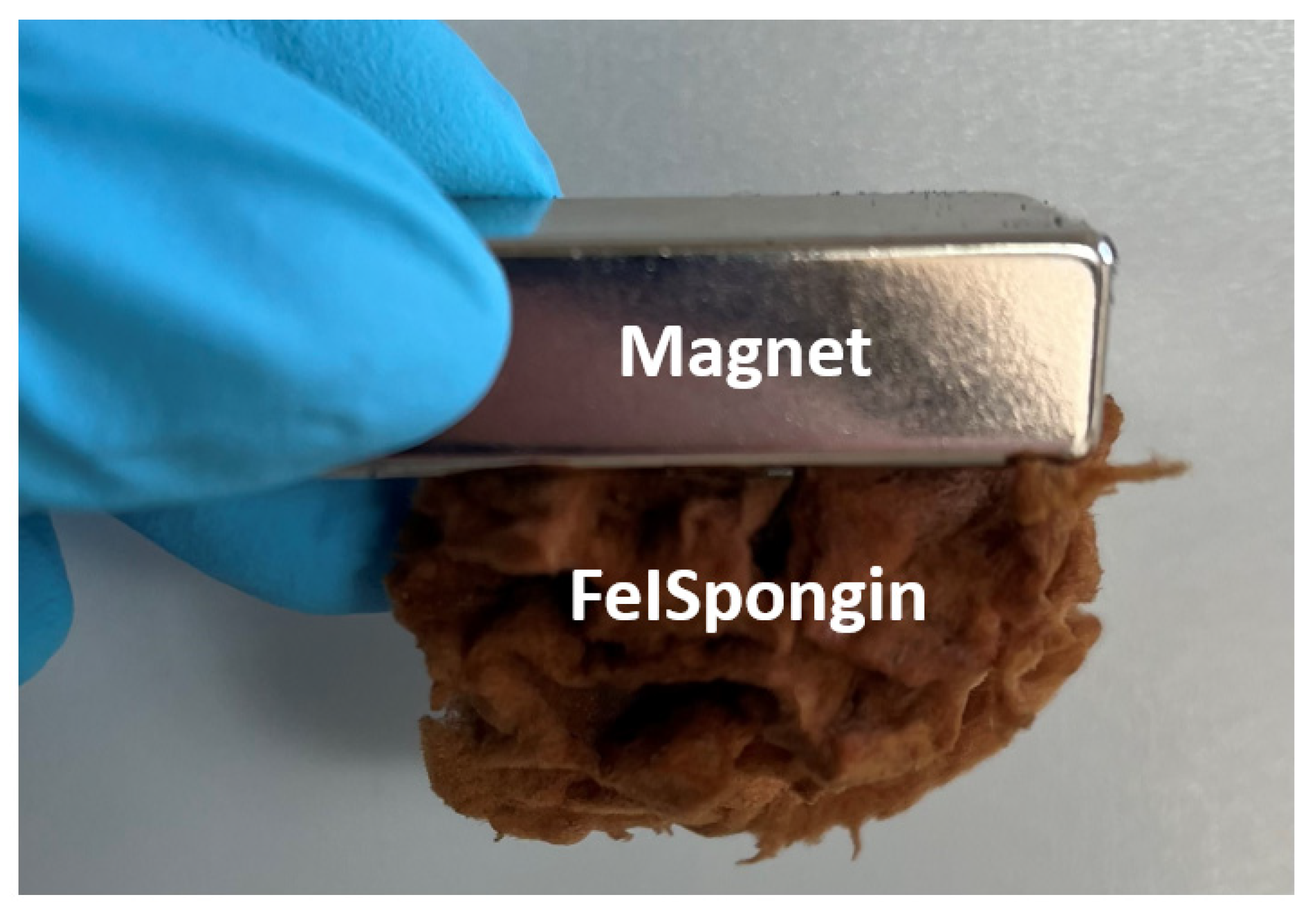 Biomimetics 08 00533 g011