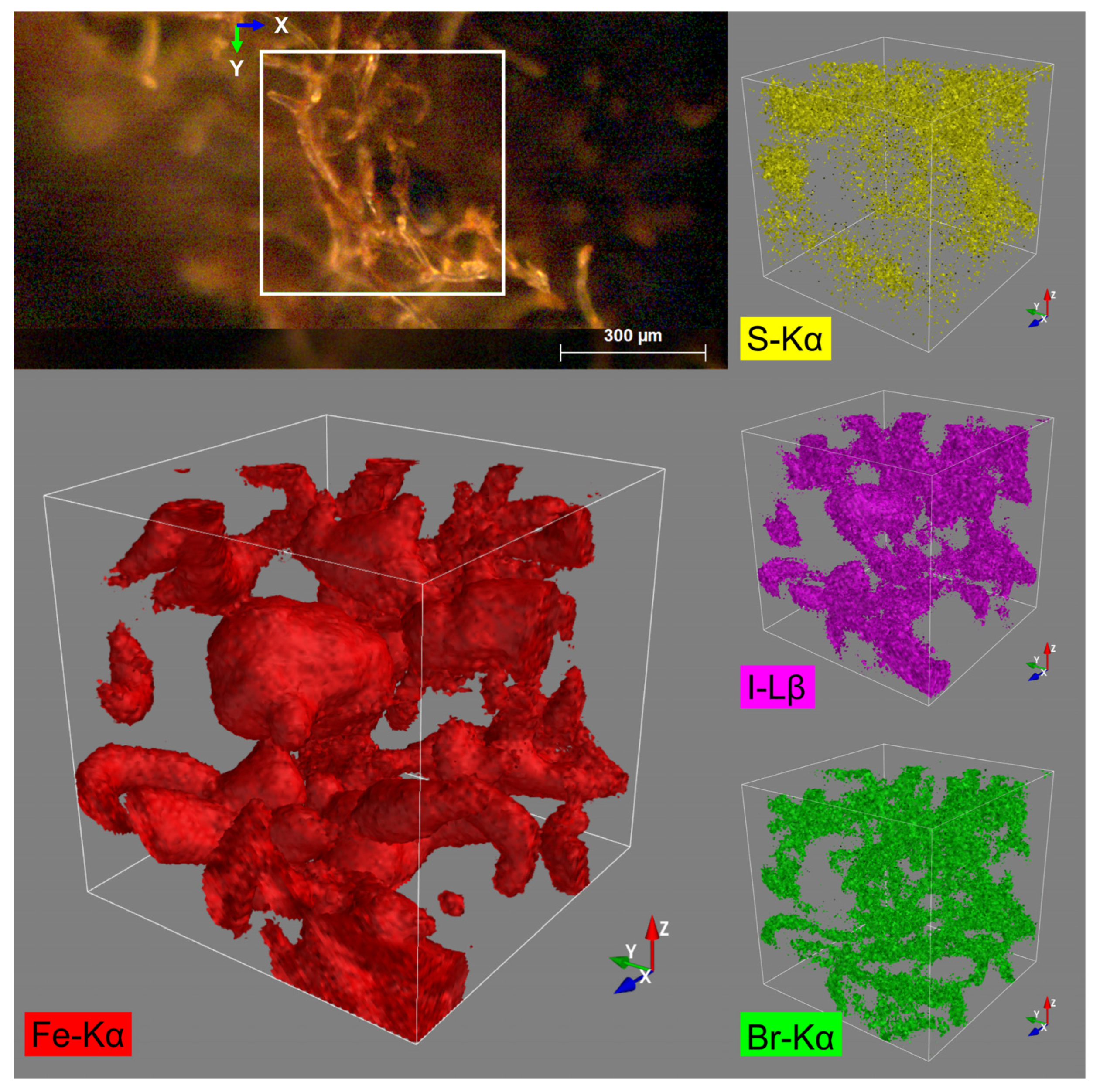 Biomimetics 08 00533 g012