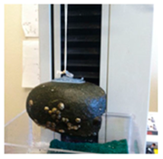 Biomimetics 08 00534 i001