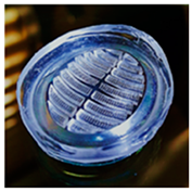 Biomimetics 08 00534 i004