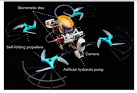 Biomimetics 08 00534 i009
