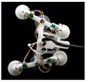 Biomimetics 08 00534 i010