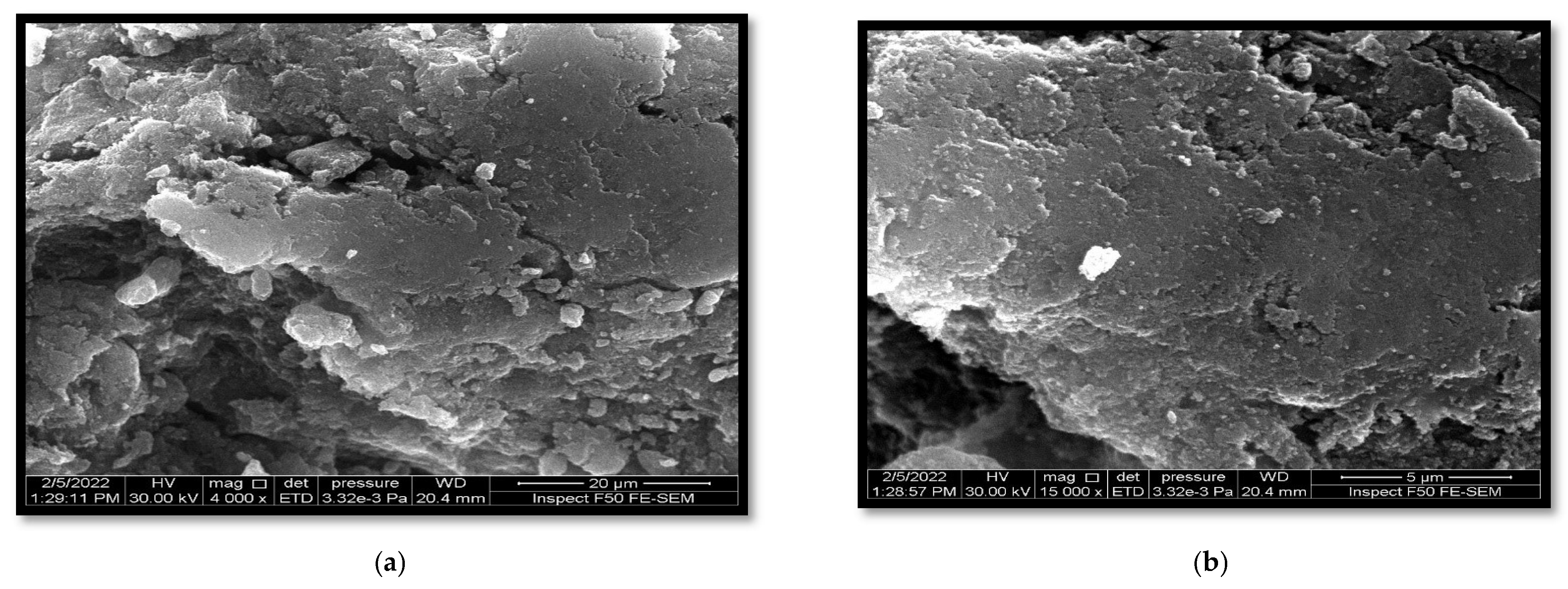 Biomimetics 08 00539 g002a