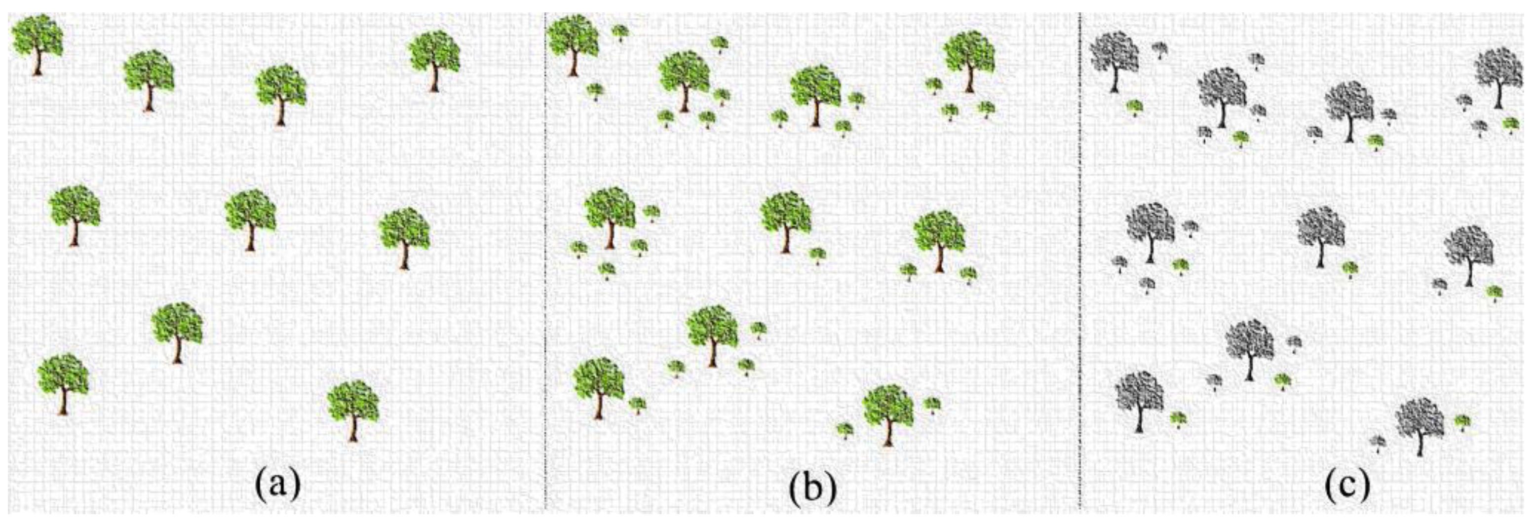 Biomimetics 08 00540 g001