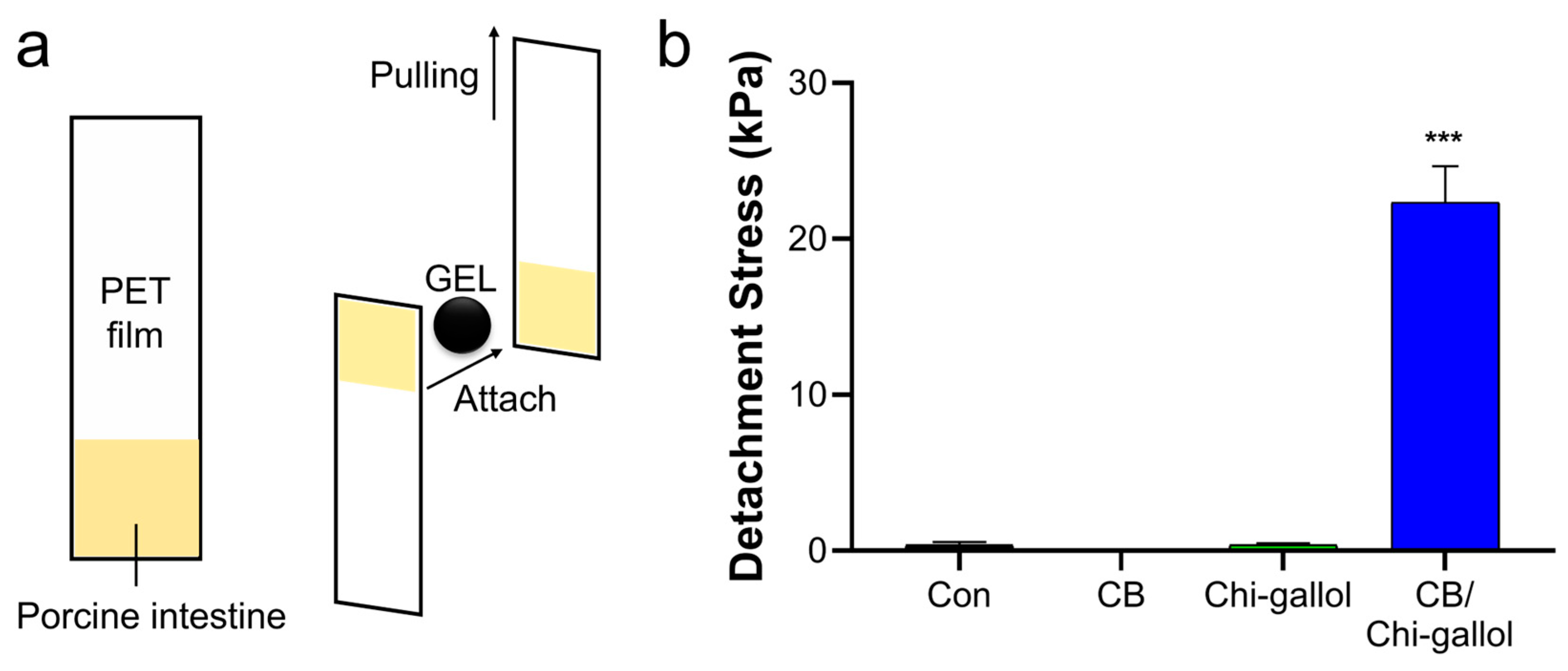 Biomimetics 08 00542 g007