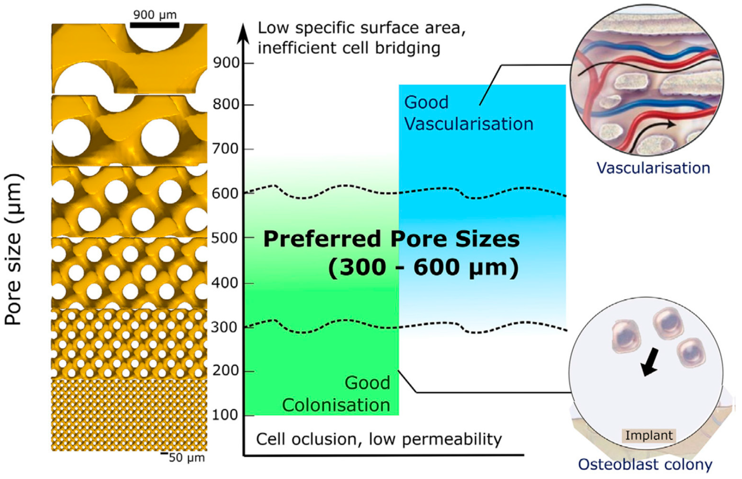 Biomimetics 08 00546 g001