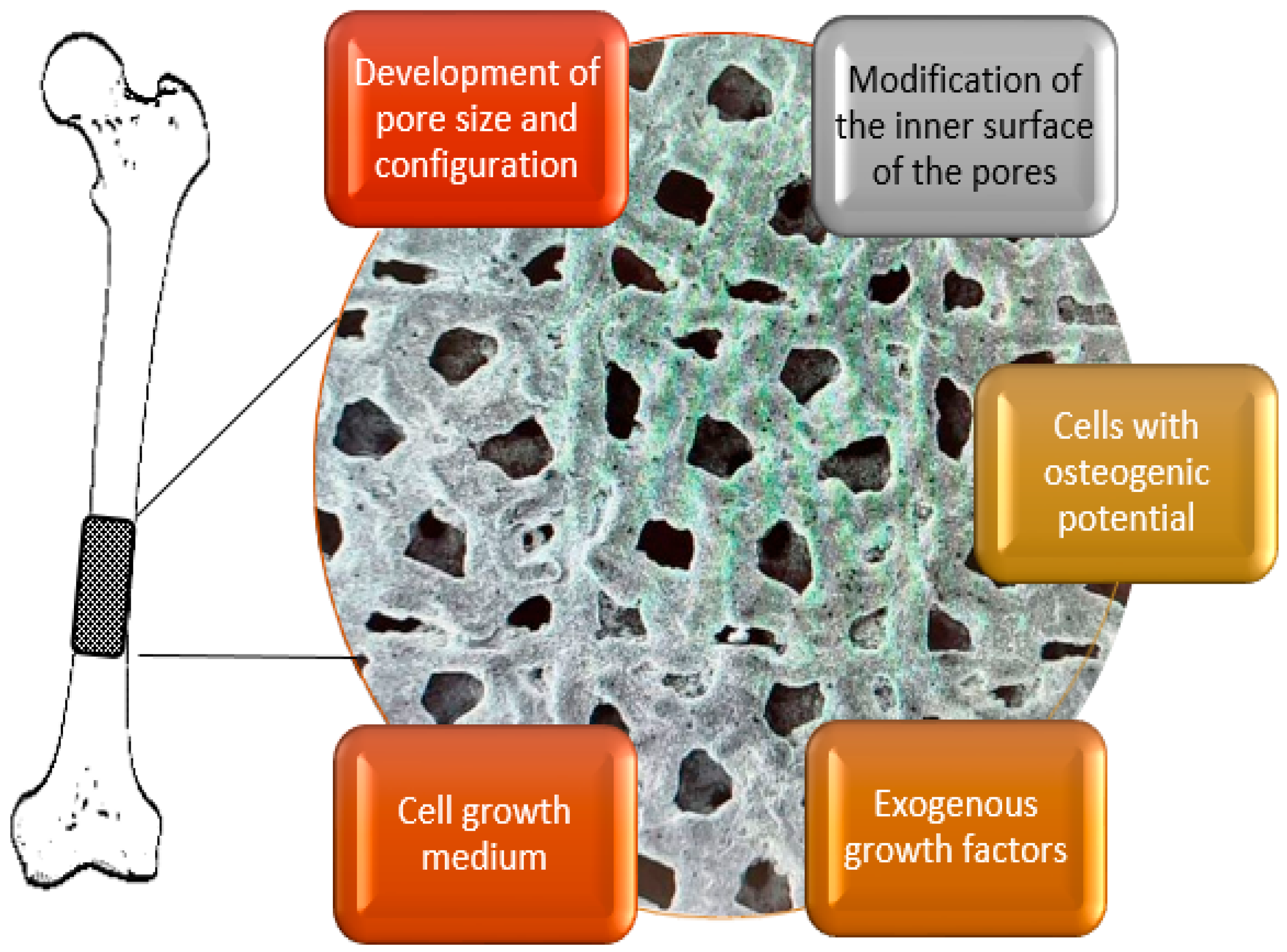 Biomimetics 08 00546 g005