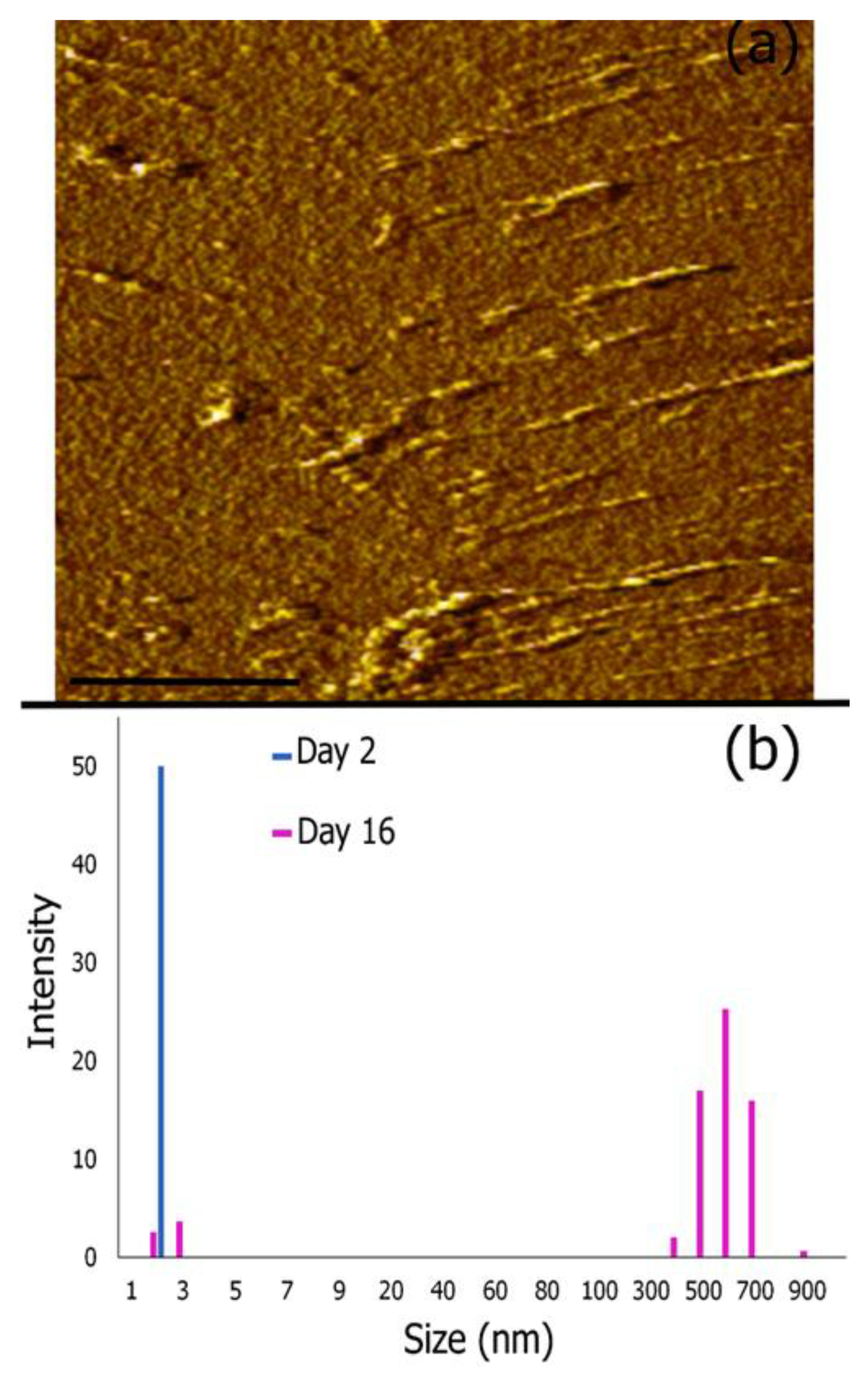 Biomimetics 08 00548 g003