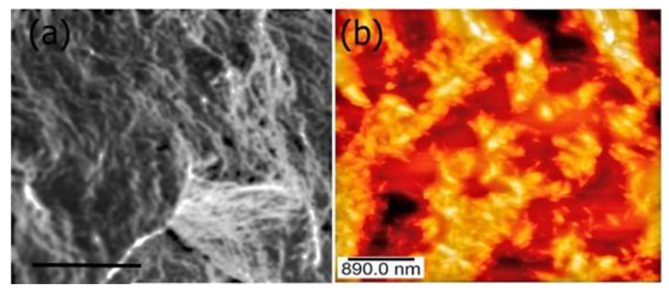 Biomimetics 08 00548 g007