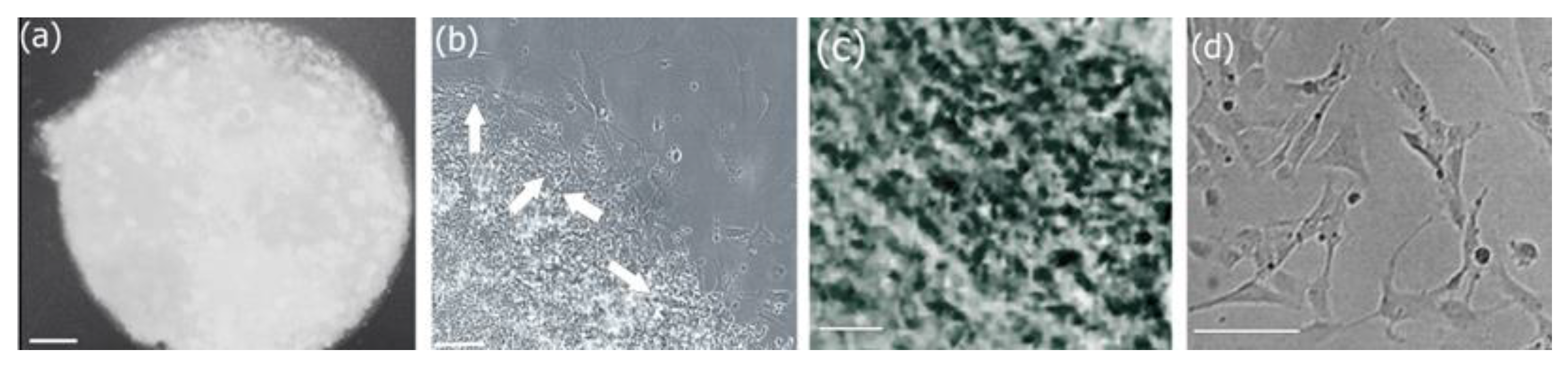 Biomimetics 08 00548 g011