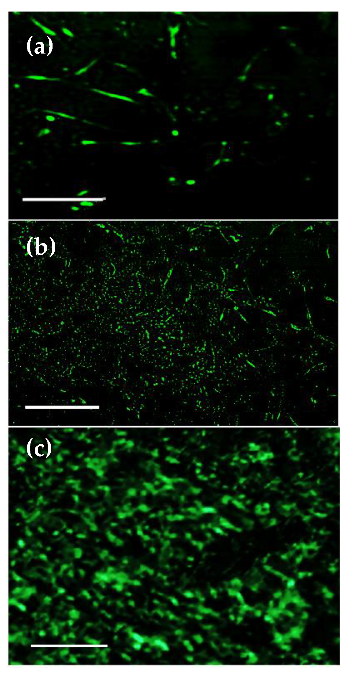 Biomimetics 08 00548 g012