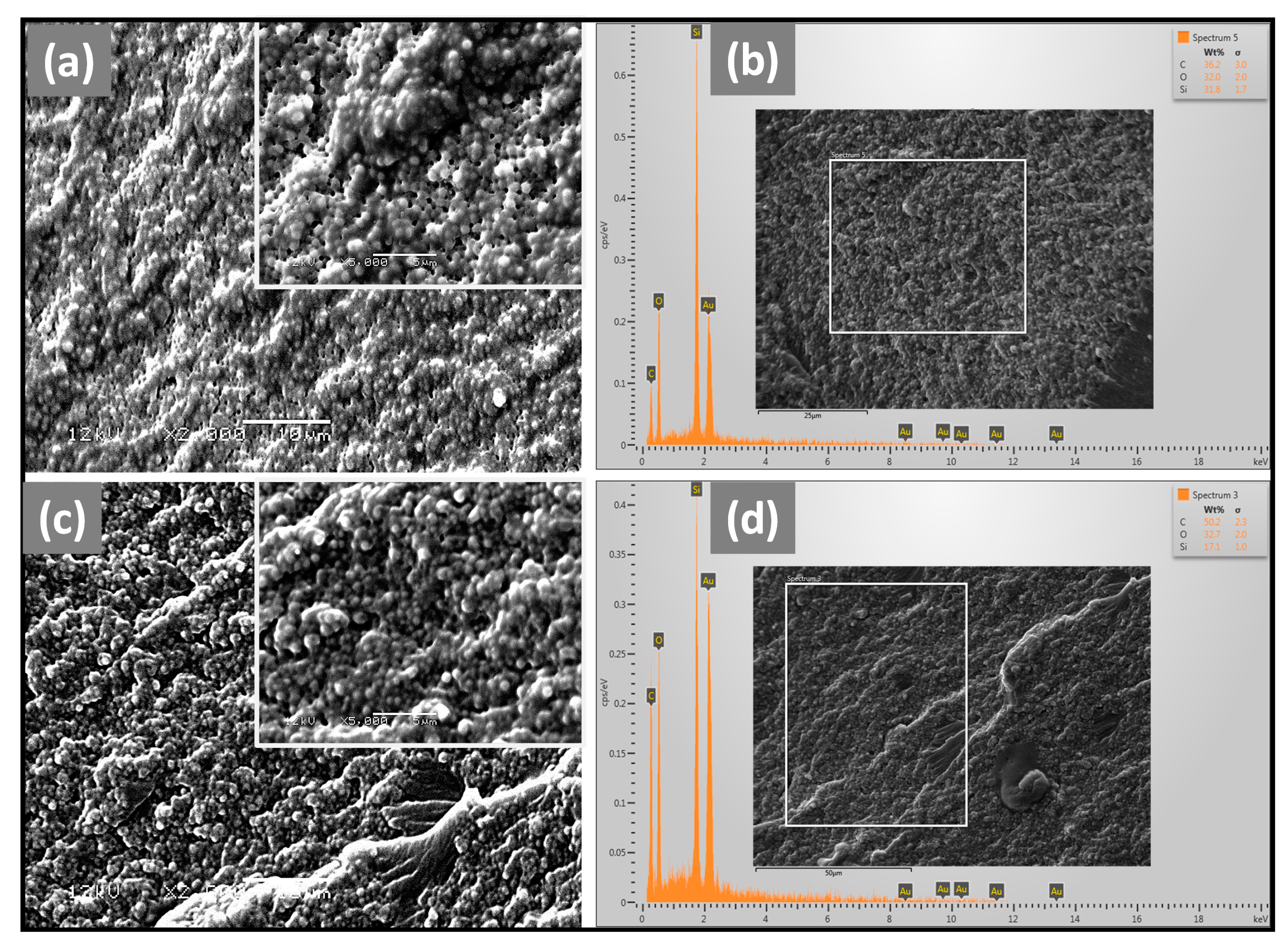 Biomimetics 08 00577 g002