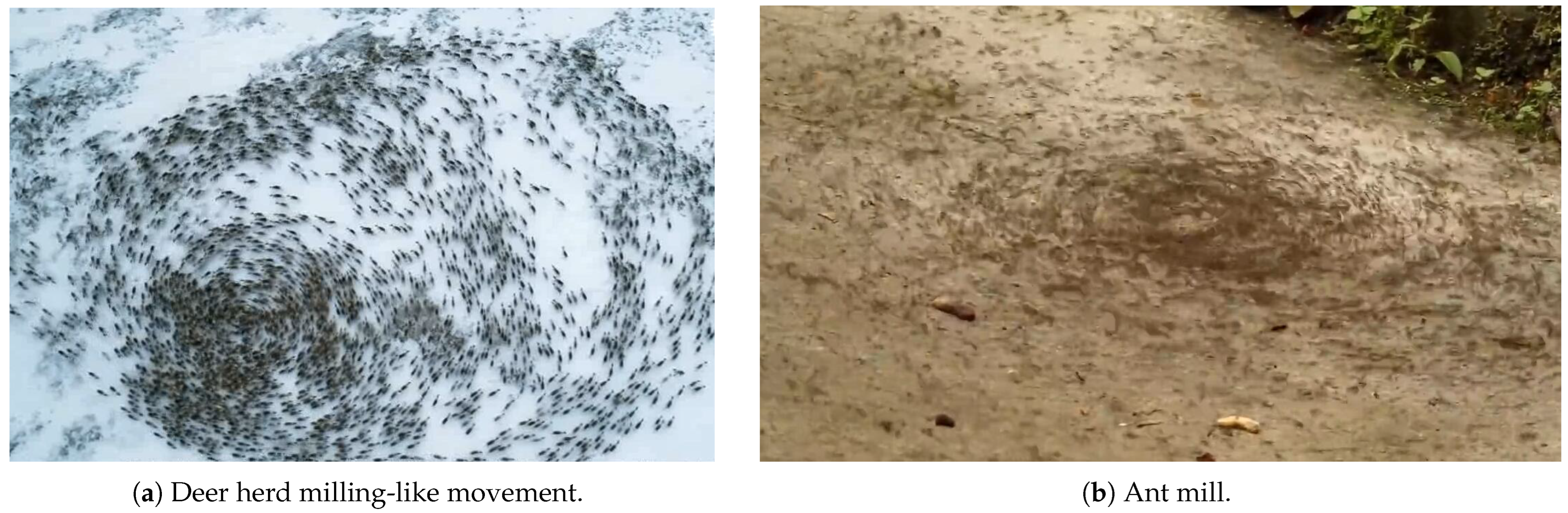 Biomimetics 08 00583 g001