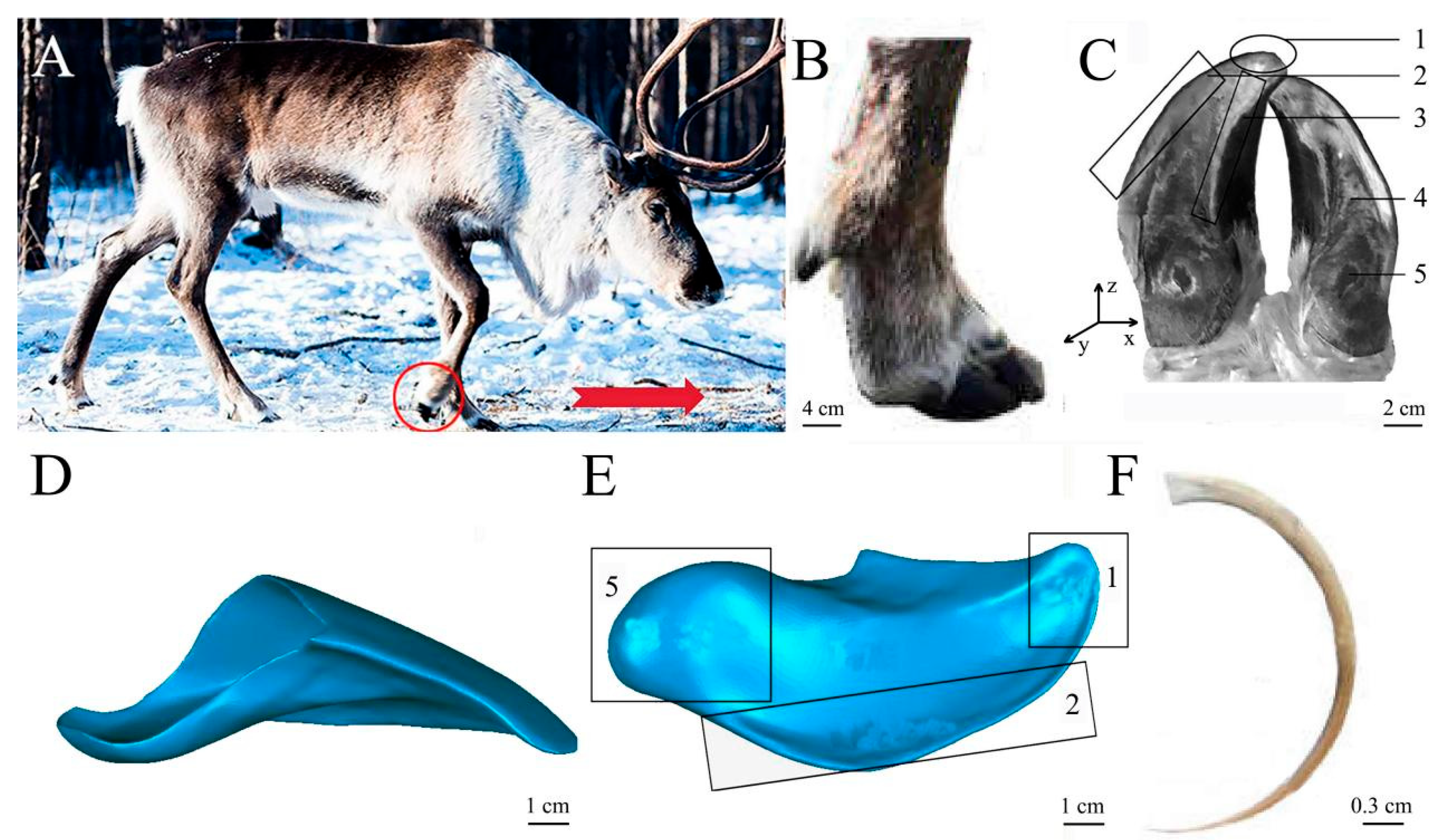 Biomimetics 08 00600 g001