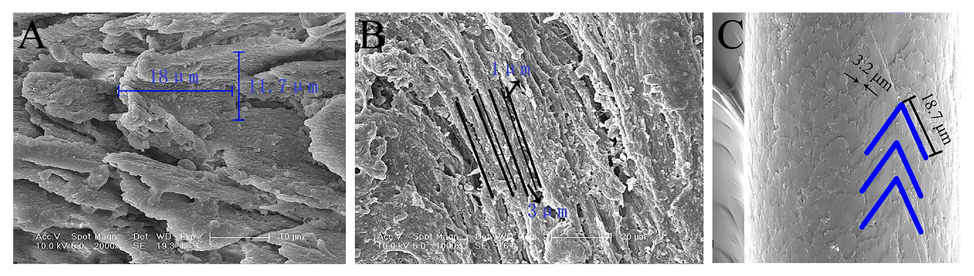 Biomimetics 08 00600 g003