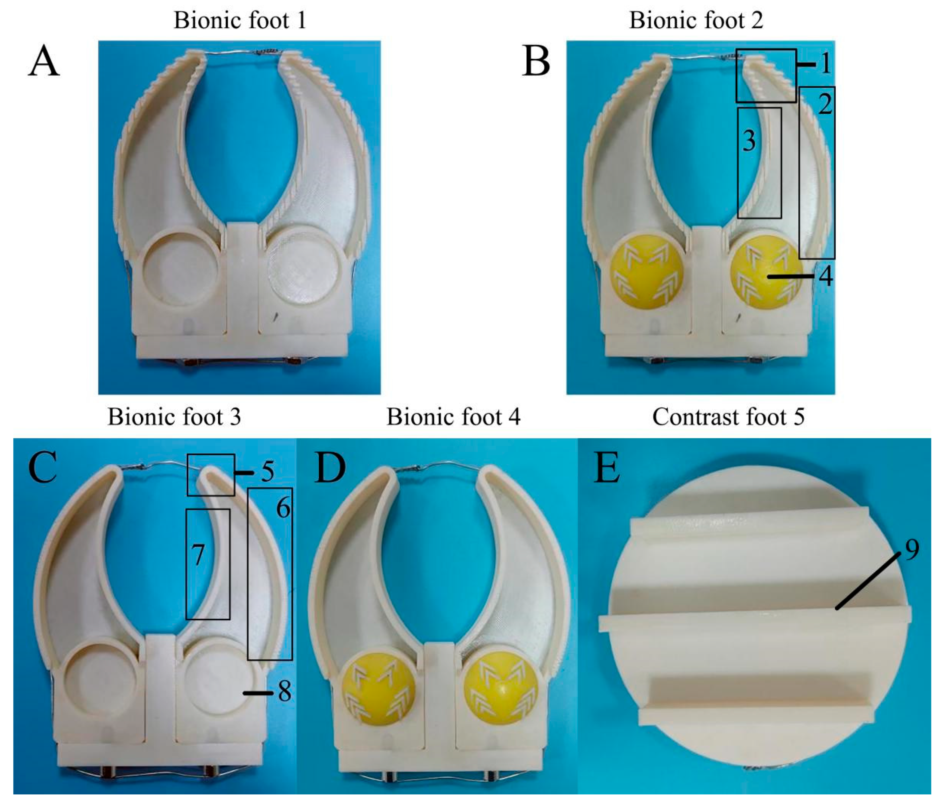 Biomimetics 08 00600 g009