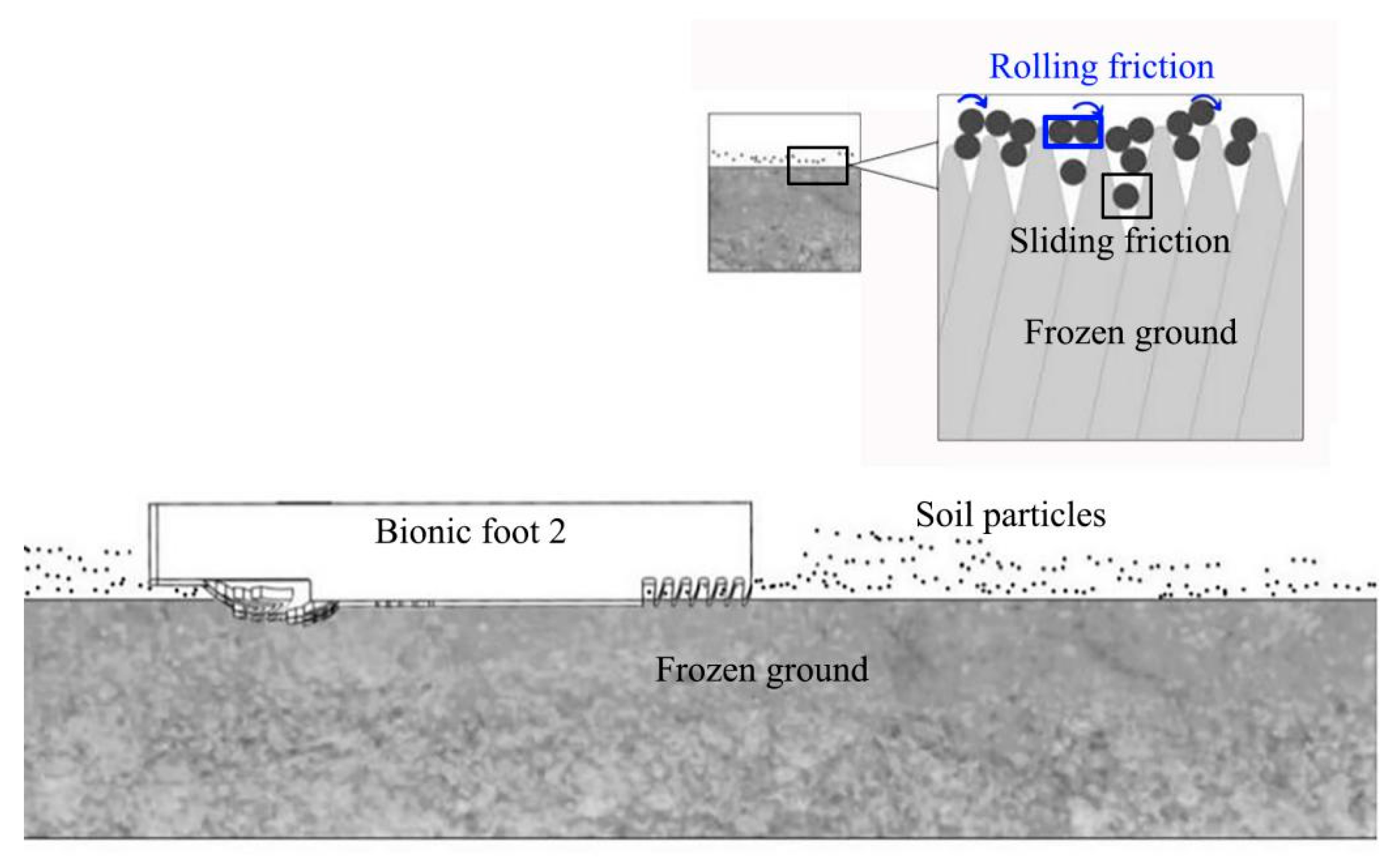 Biomimetics 08 00600 g012