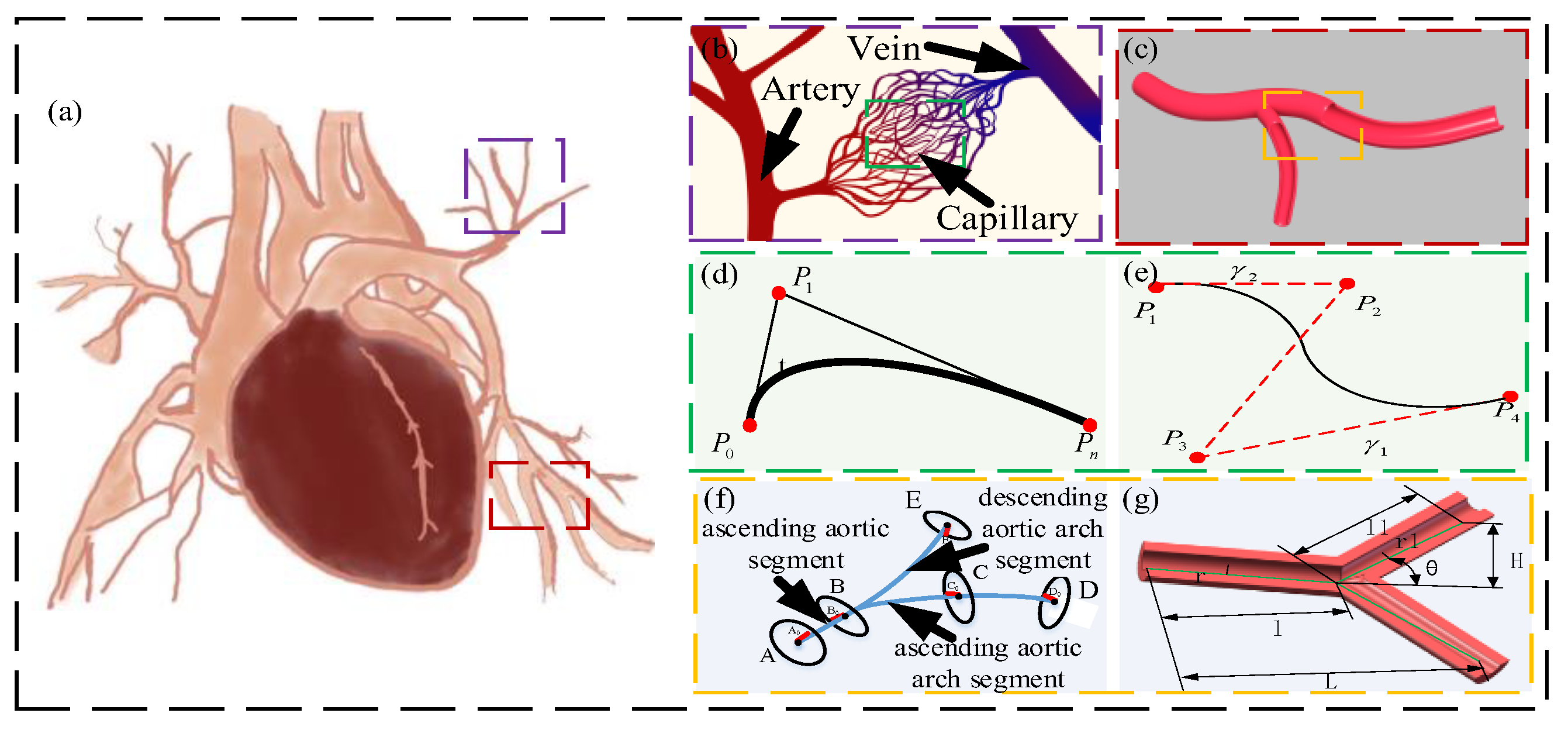 Biomimetics 09 00013 g001