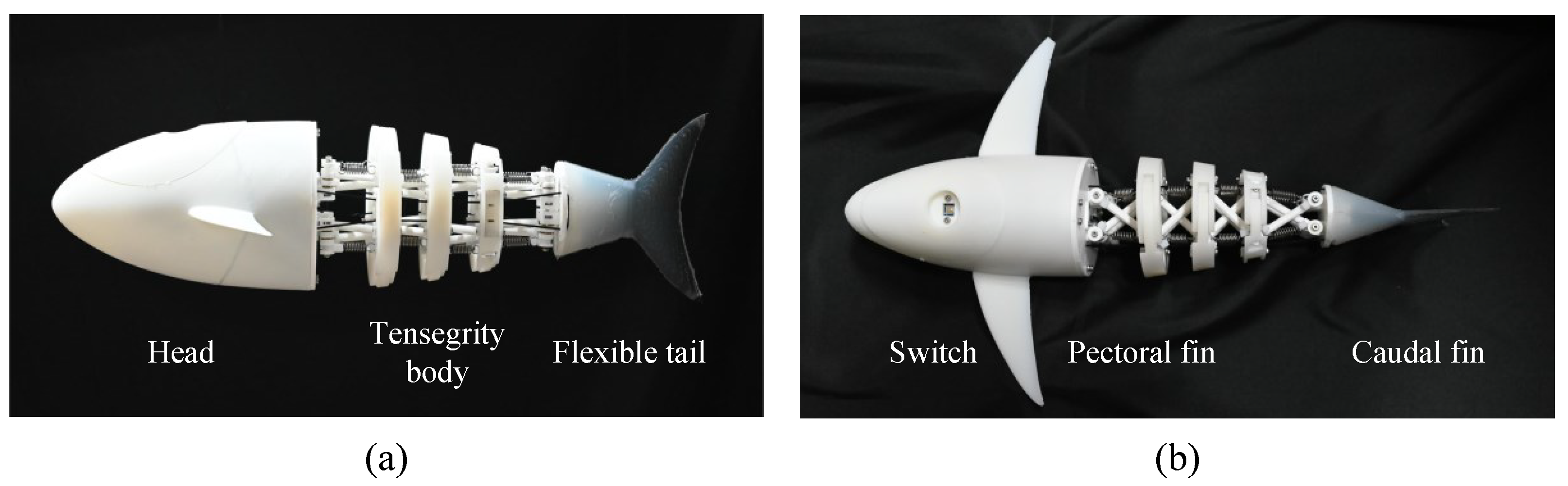 Design and Analysis of a Novel Bionic Tensegrity Robotic Fish with a ...