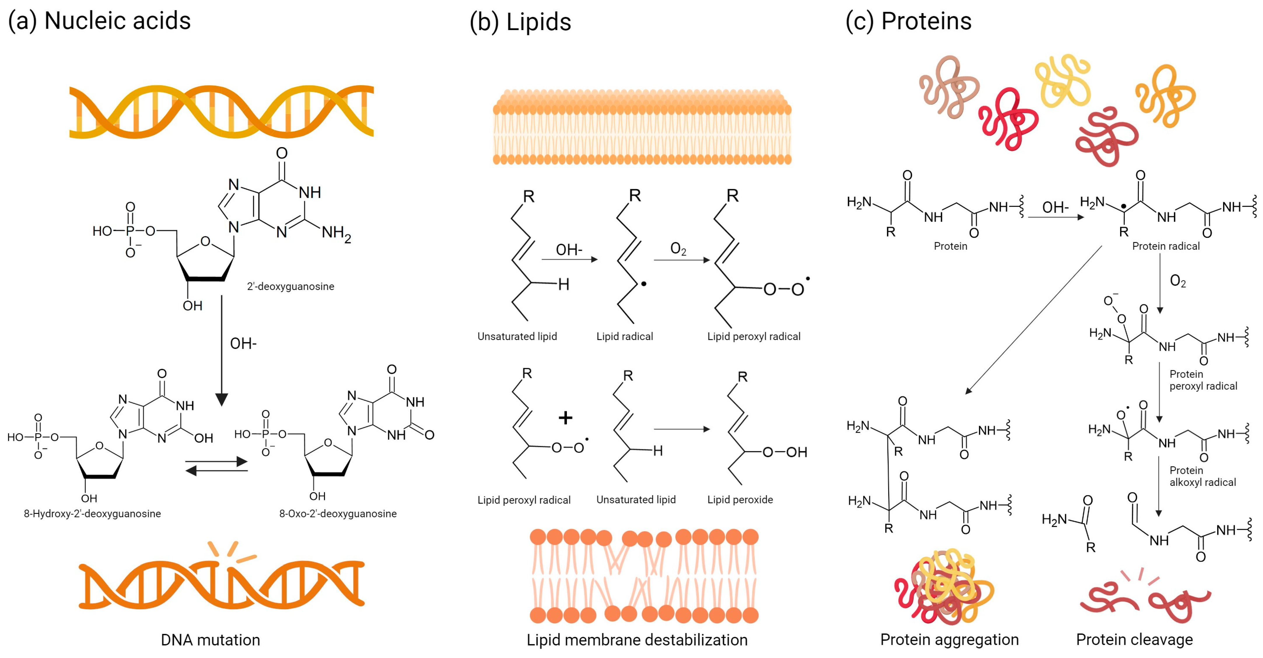 Biomimetics 09 00023 g002