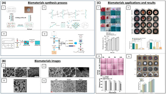 Biomimetics 09 00023 g004