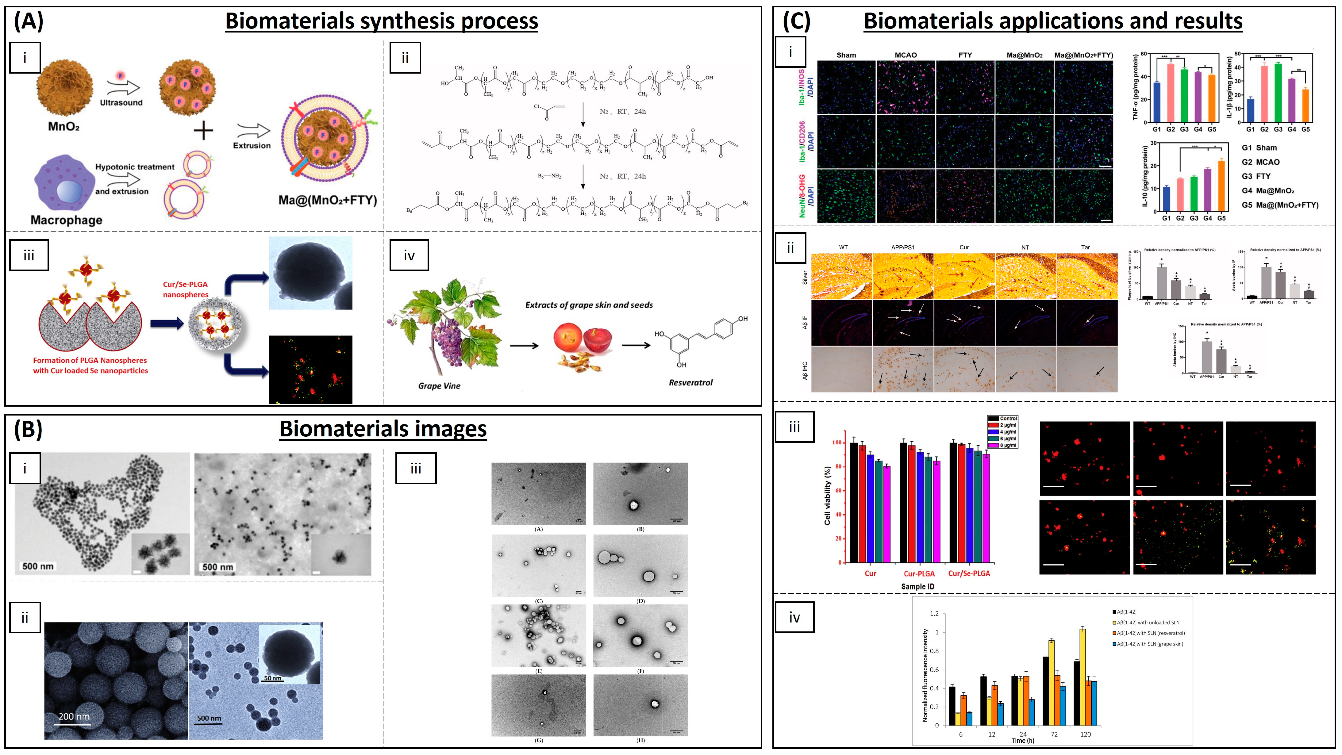 Biomimetics 09 00023 g005