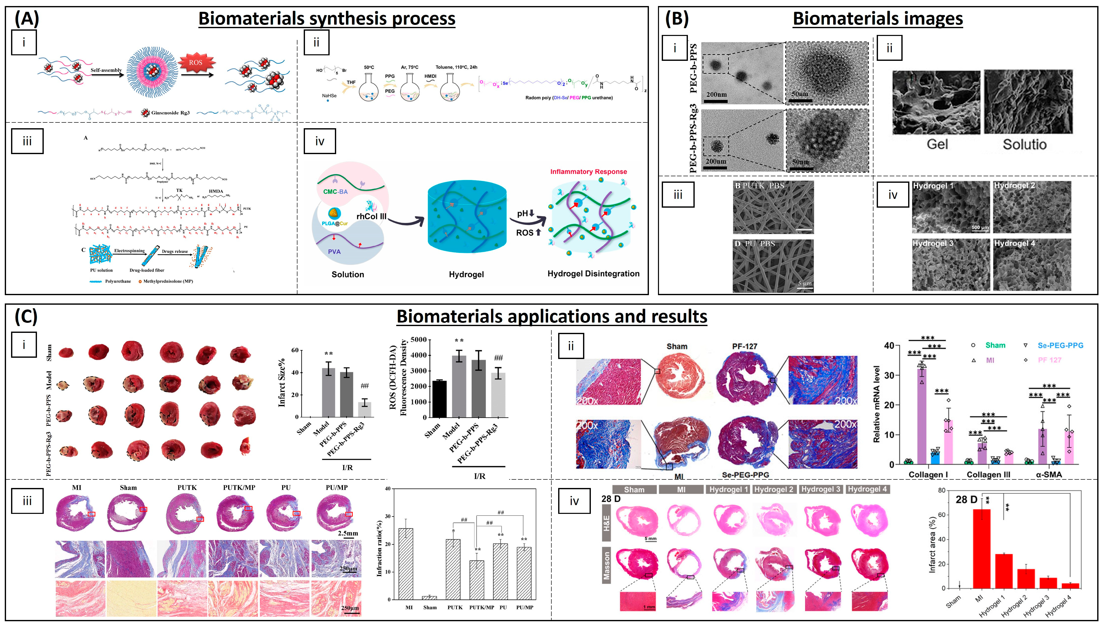 Biomimetics 09 00023 g006