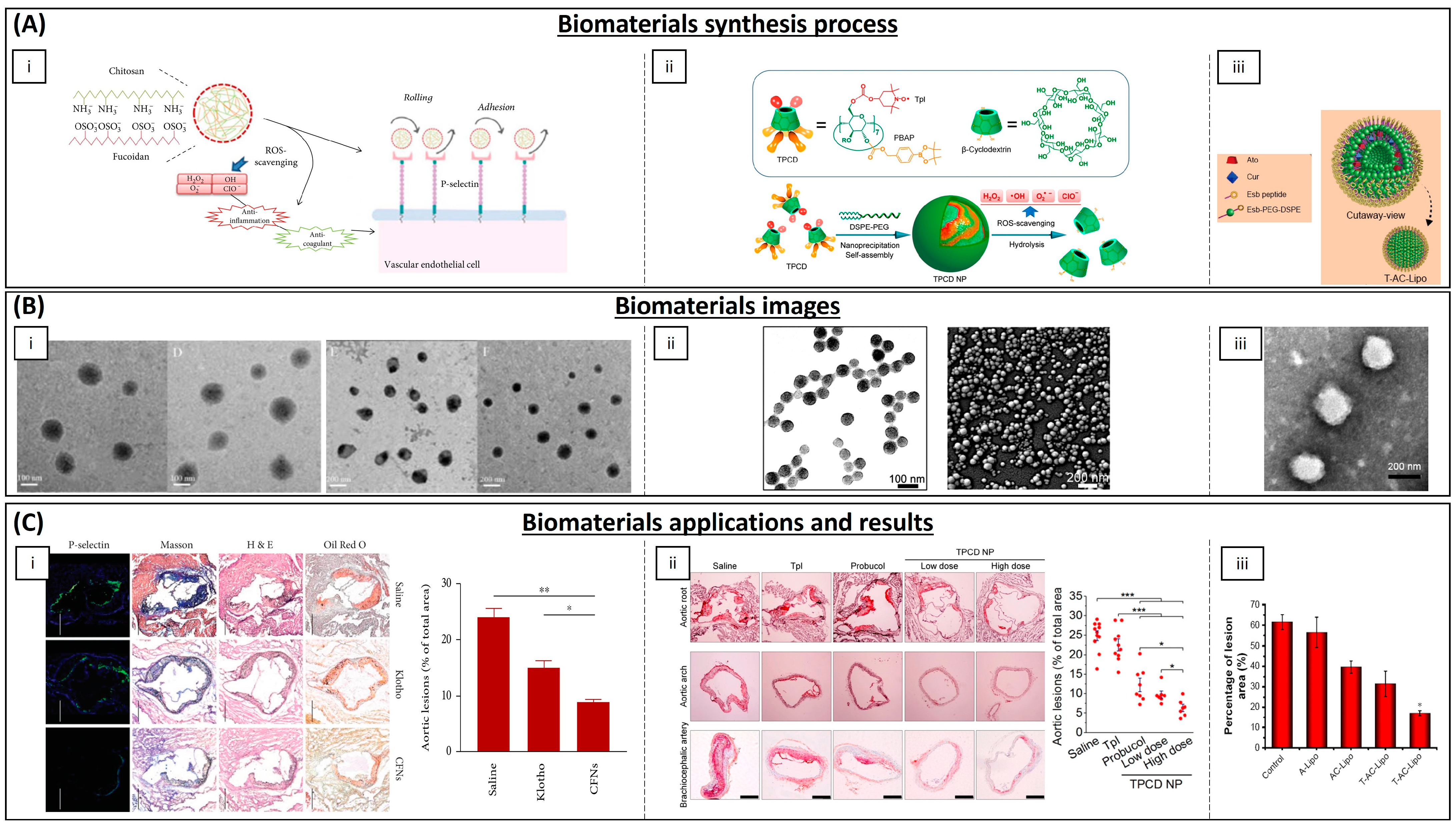 Biomimetics 09 00023 g007