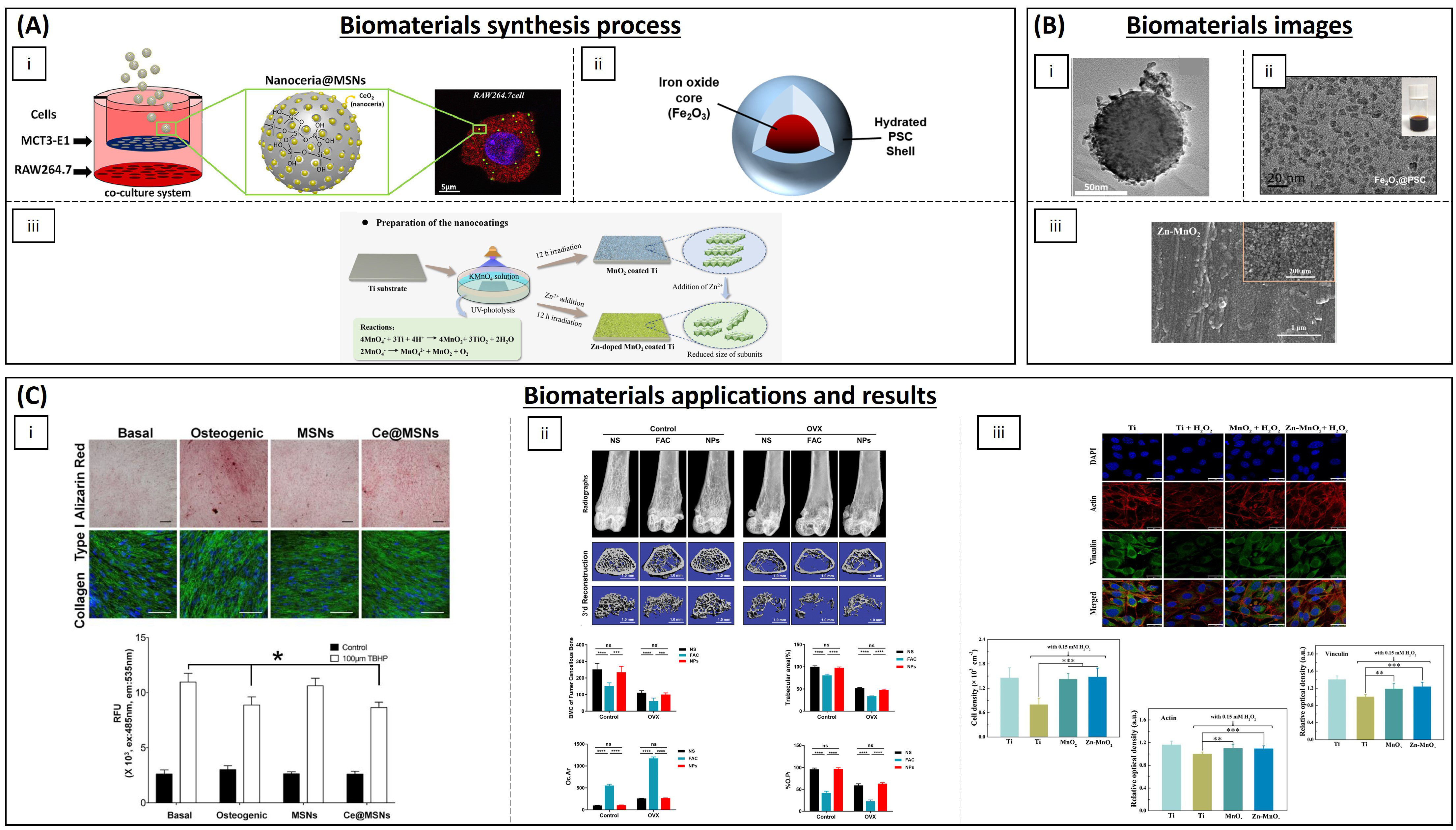Biomimetics 09 00023 g008