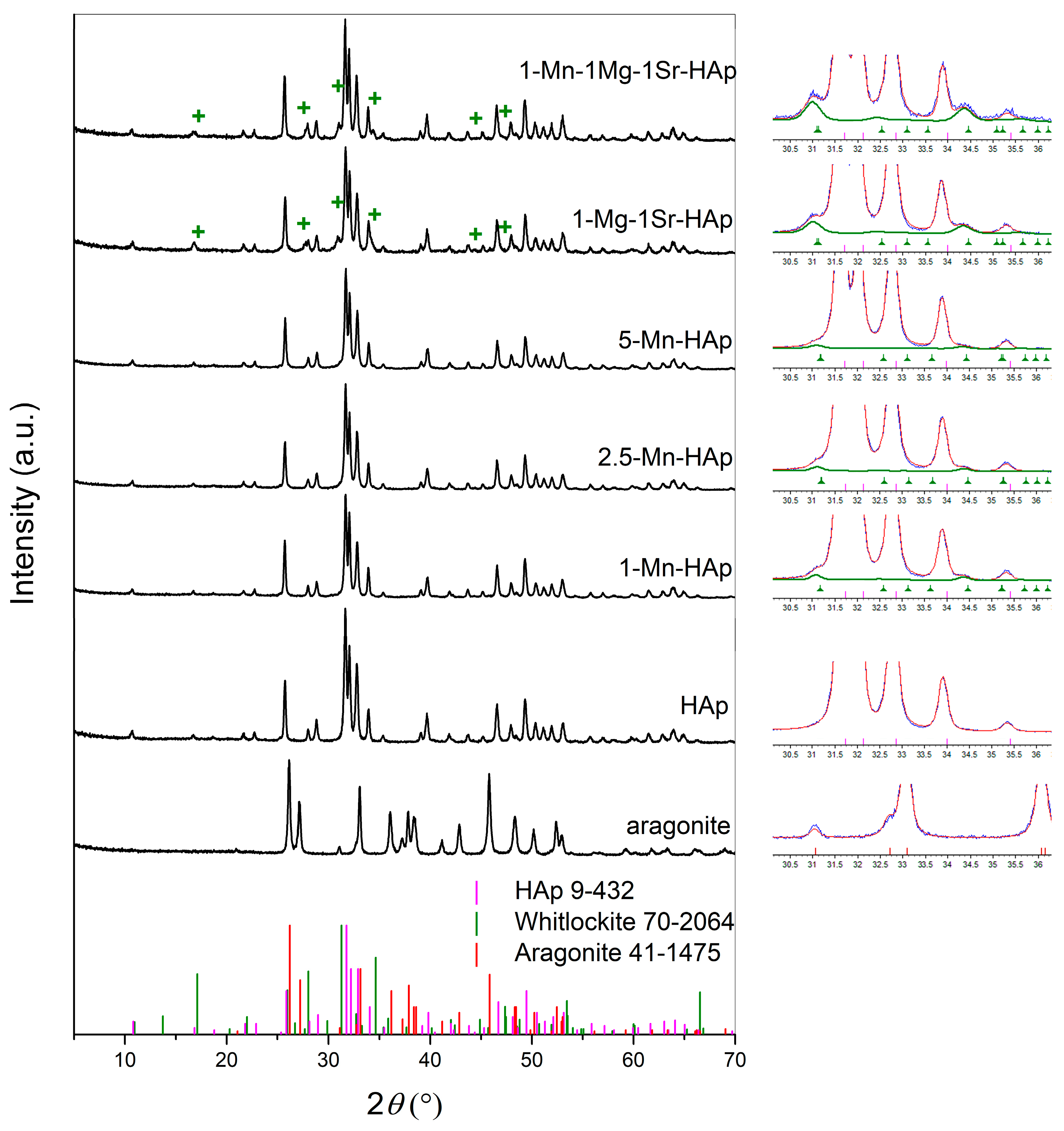 Biomimetics 09 00030 g001