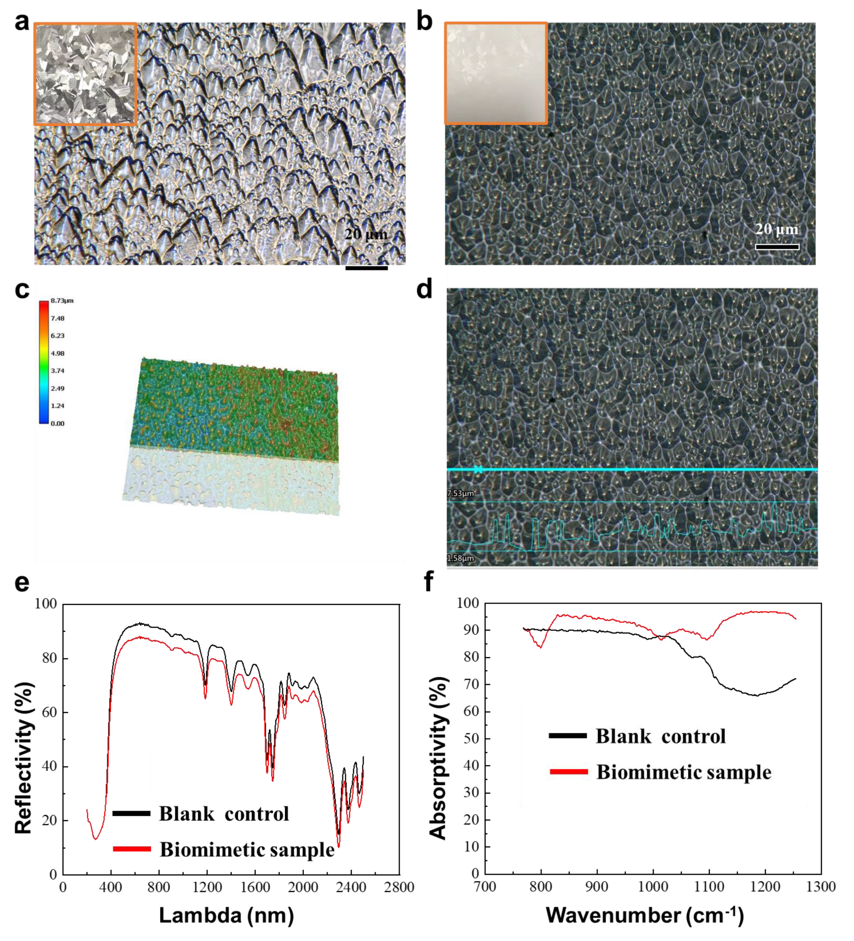 Biomimetics 09 00034 g007
