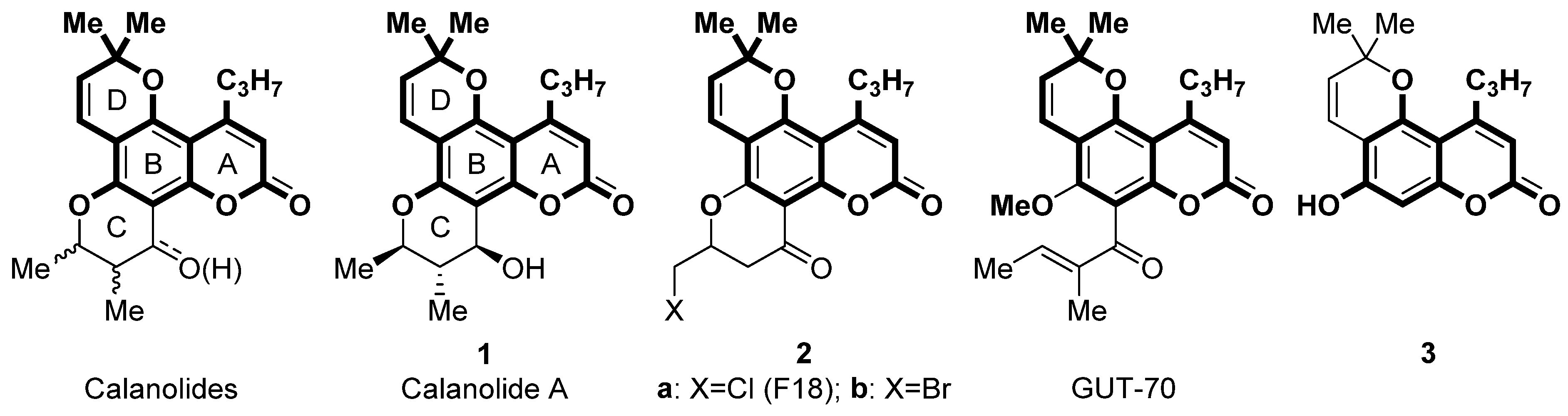 Biomimetics 09 00044 g001