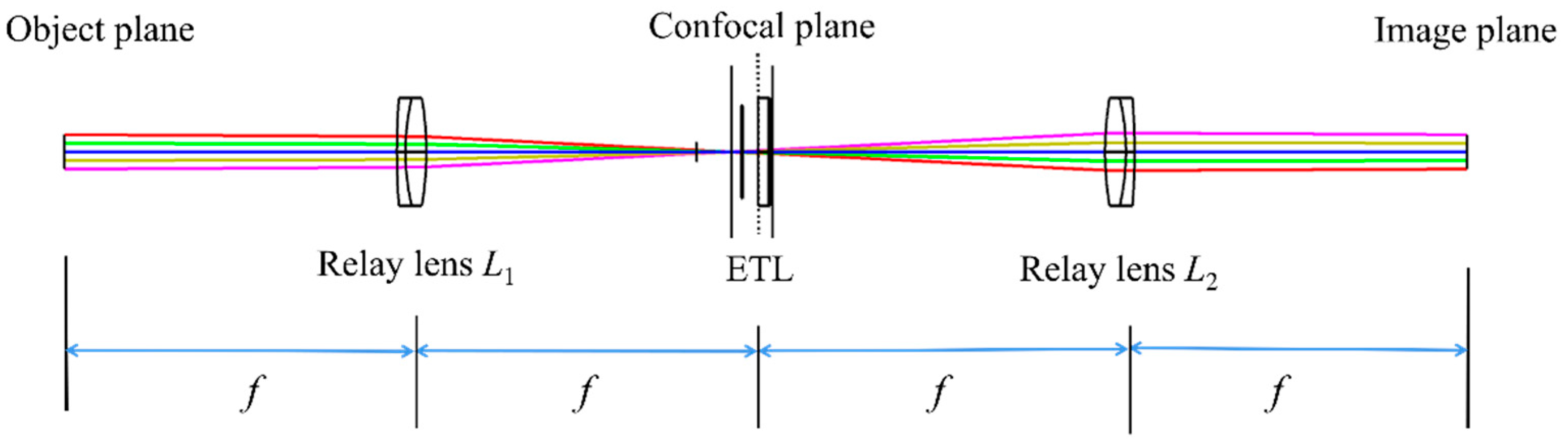 Biomimetics 09 00049 g001 Biomimetics 09 00049 g001