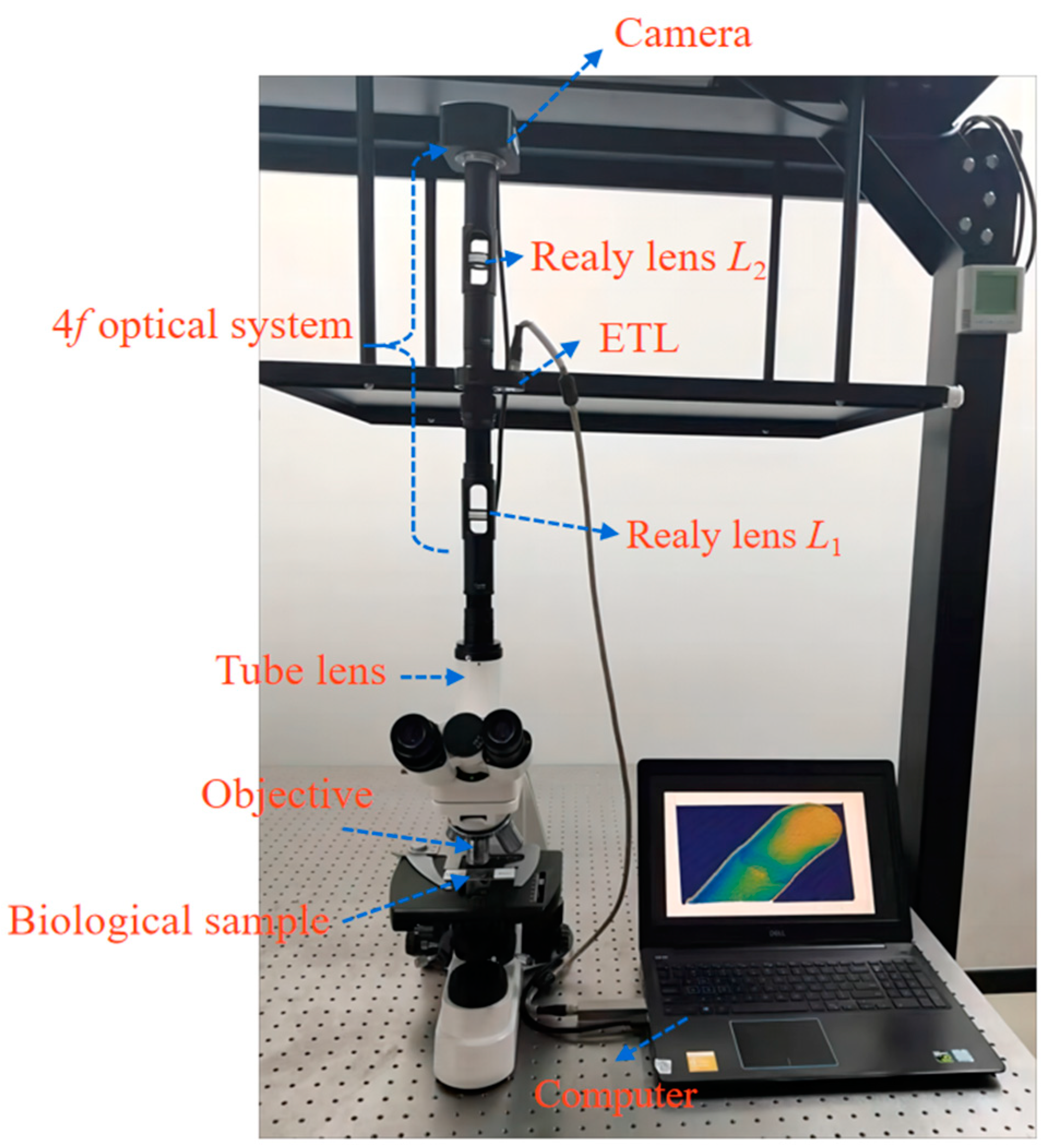 Biomimetics 09 00049 g008 Biomimetics 09 00049 g008