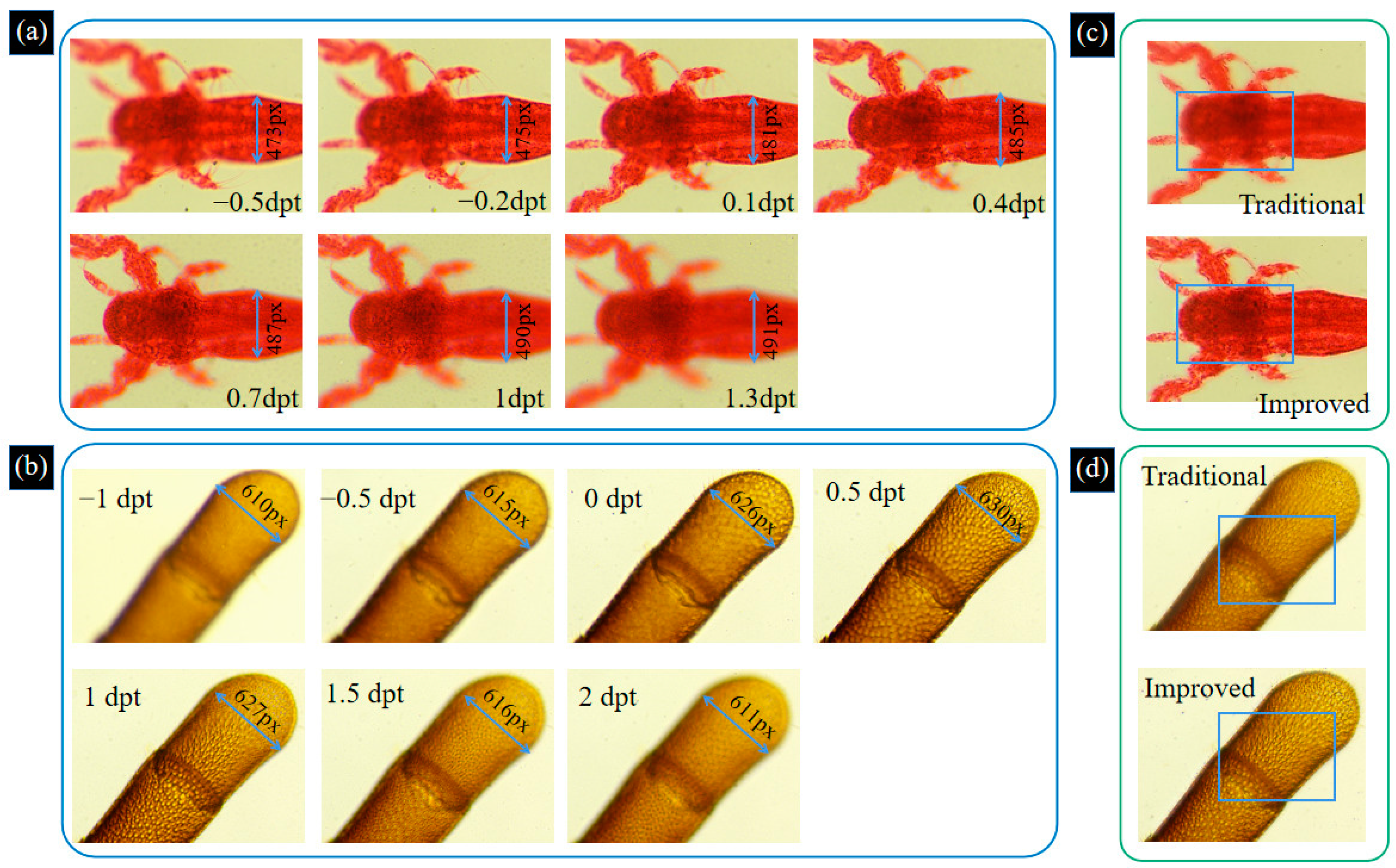 Biomimetics 09 00049 g009 Biomimetics 09 00049 g009