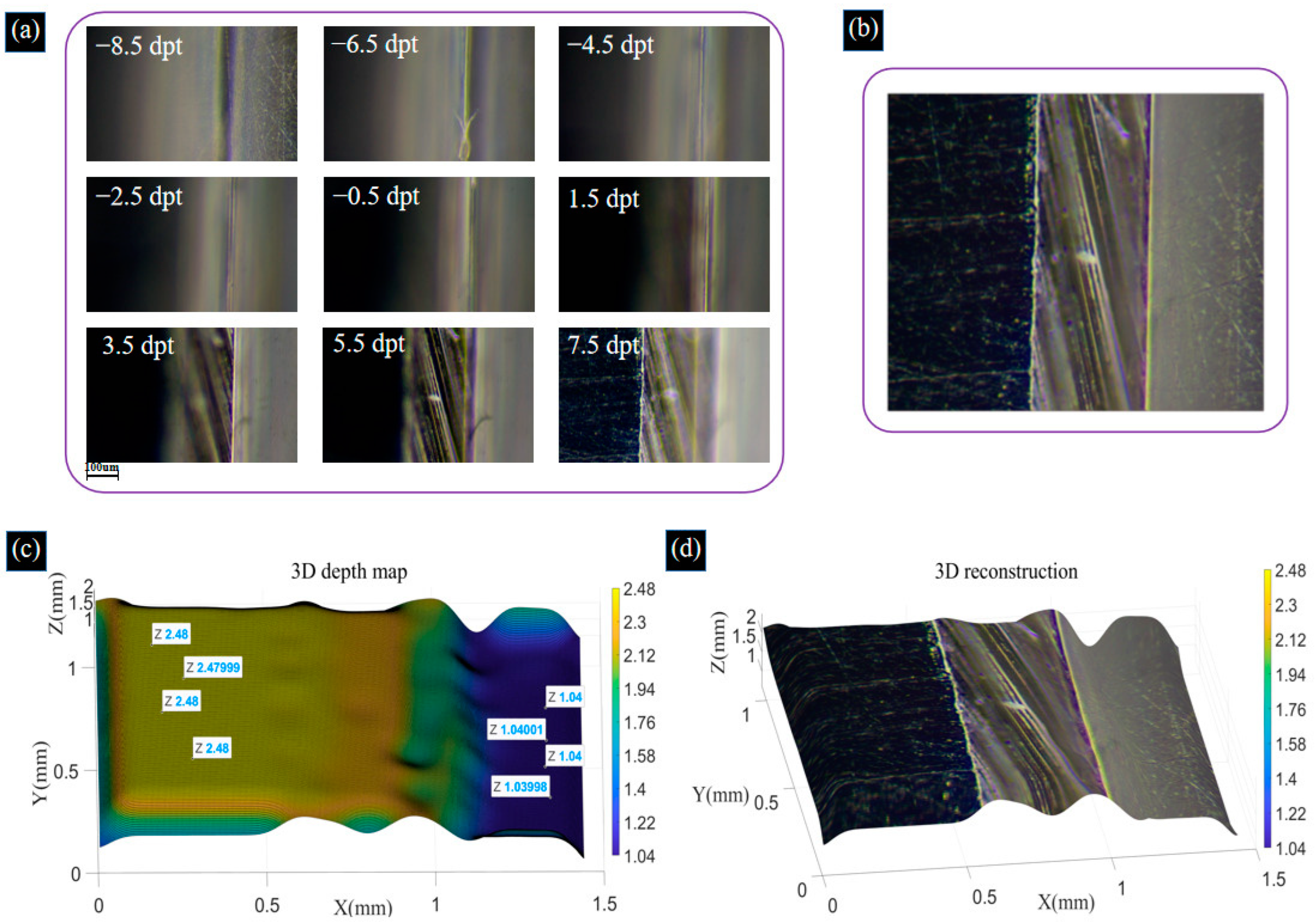 Biomimetics 09 00049 g012 Biomimetics 09 00049 g012