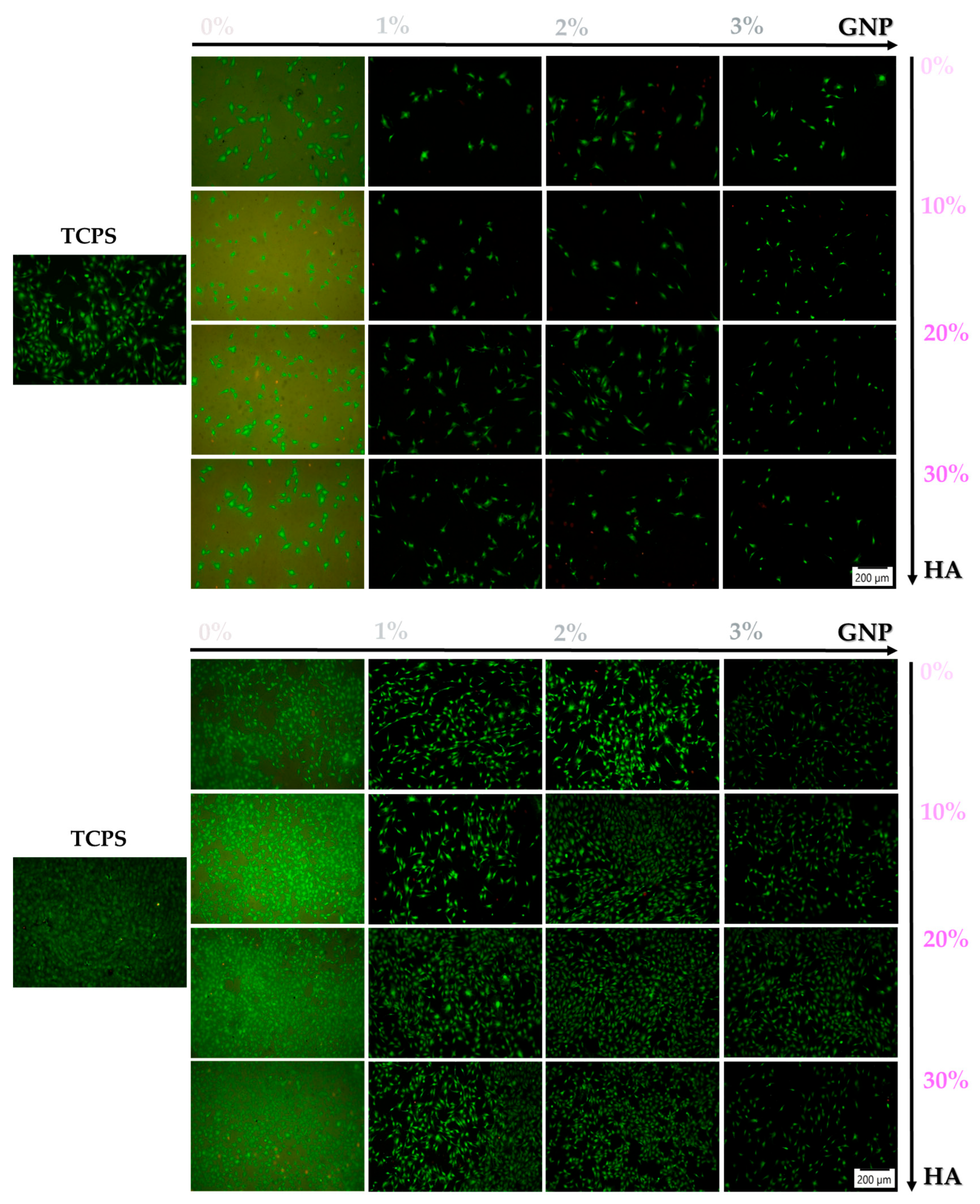 Biomimetics 09 00055 g002