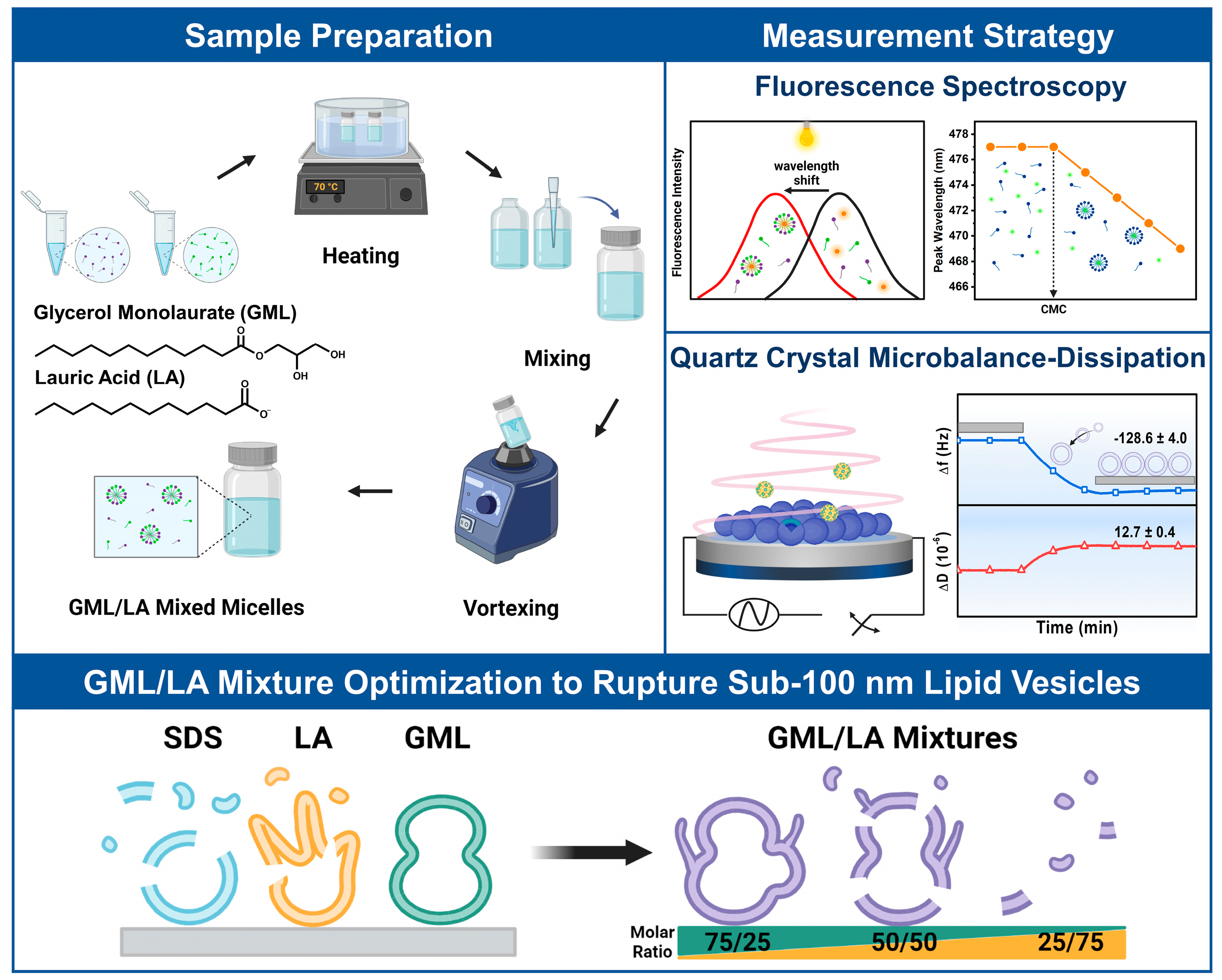 Biomimetics 09 00067 g001