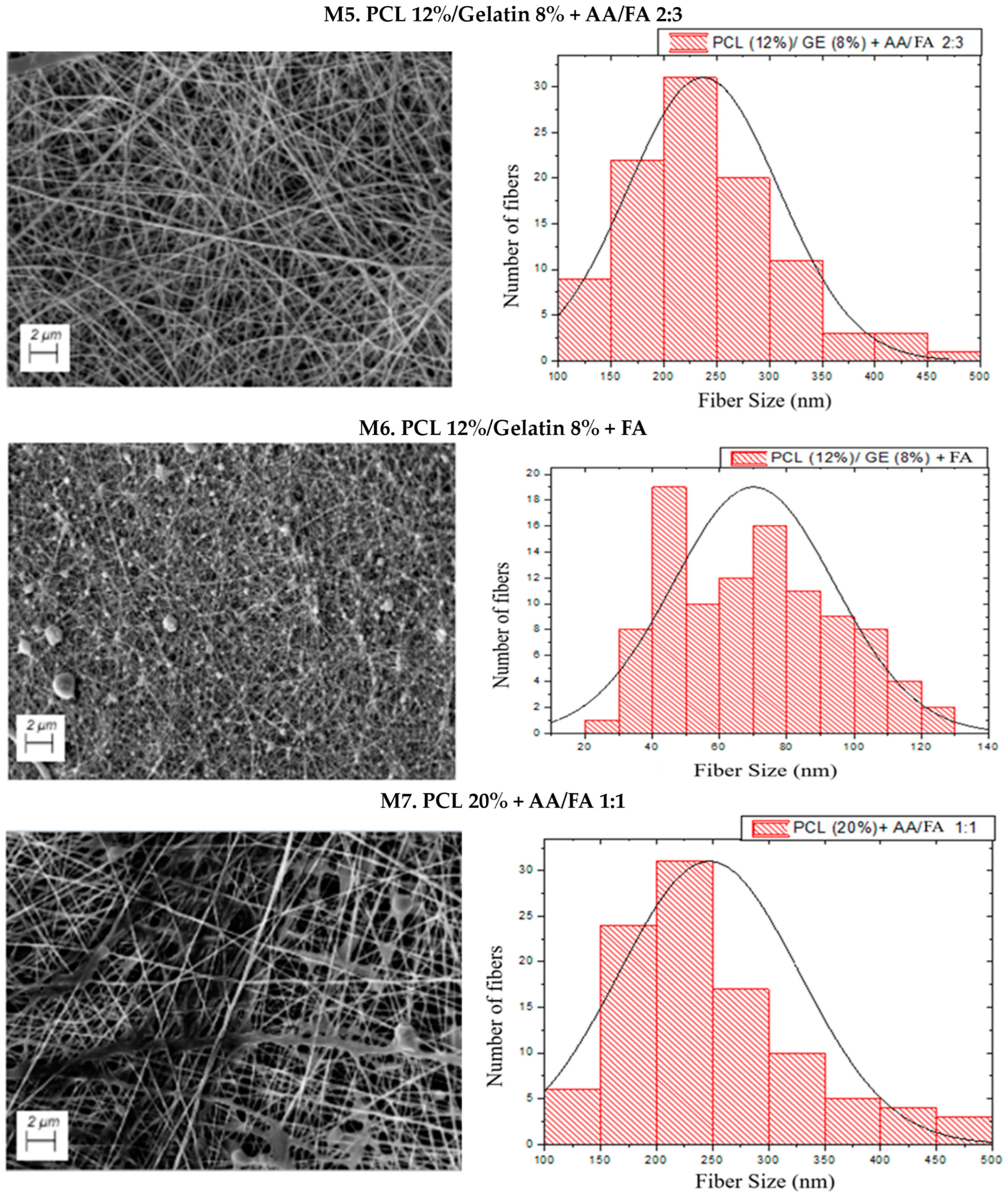 Biomimetics 09 00070 g003b